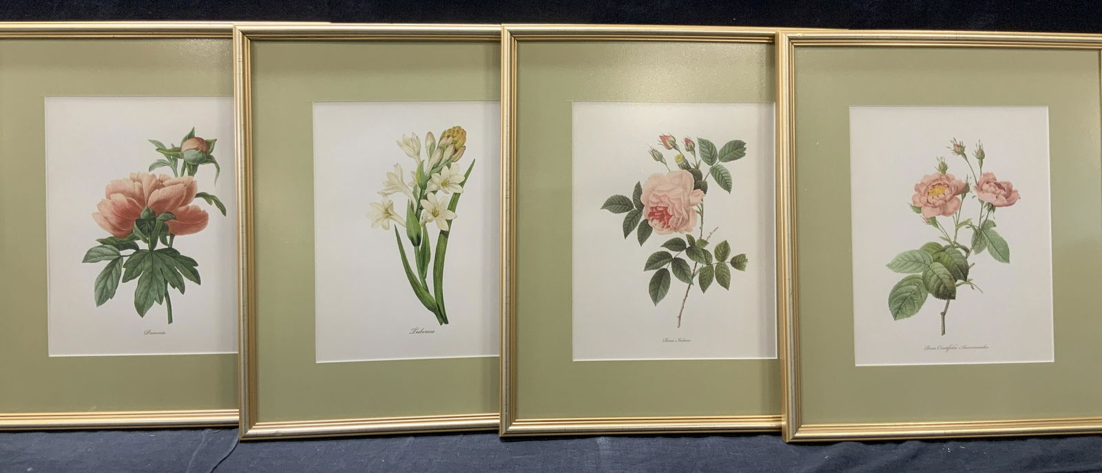 Framed Botanical Lithographs Pink & White (1 of 11)