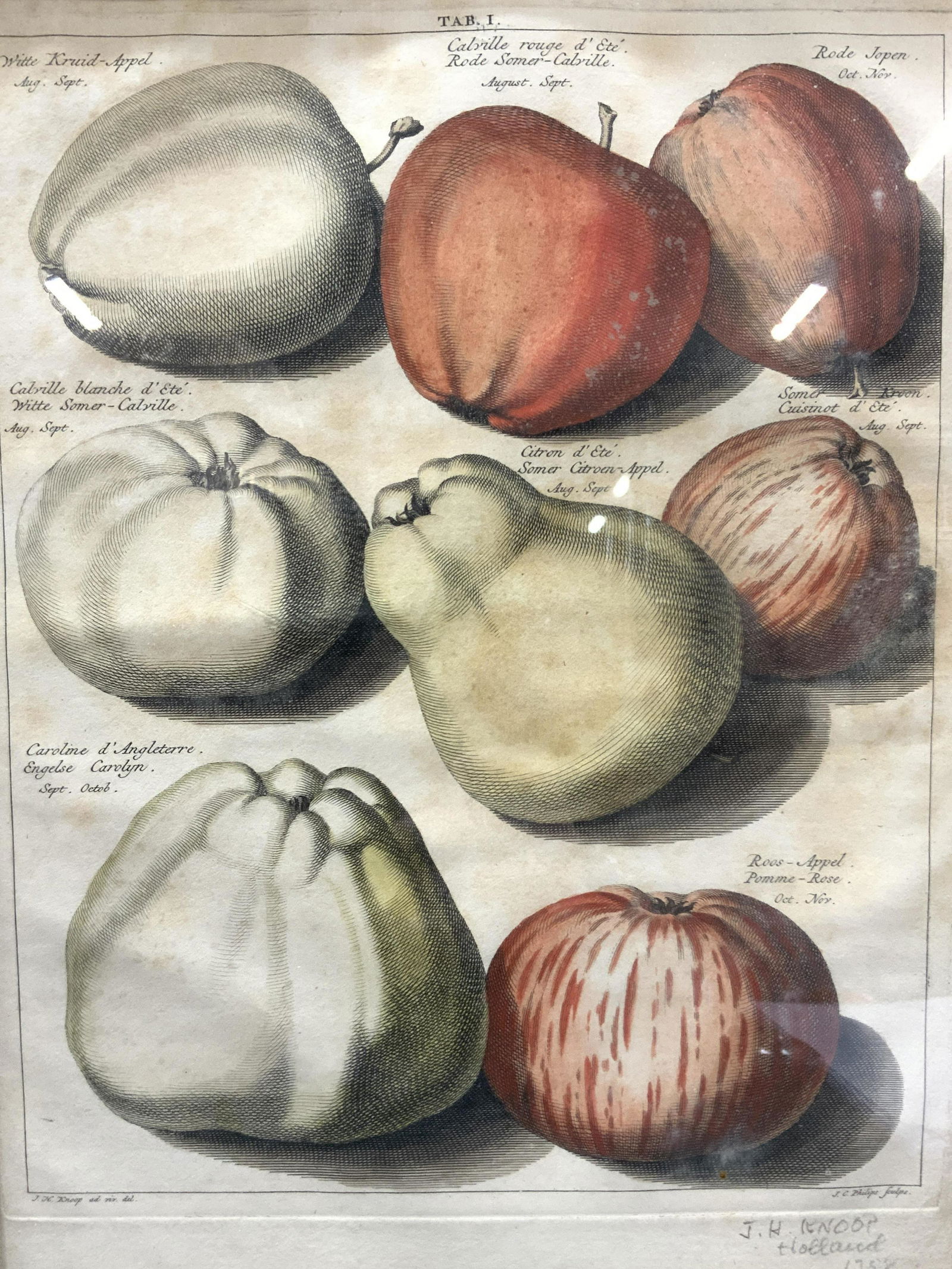 Attr J.H.Knoop Holland Hand Colored Etchings (1 of 9)
