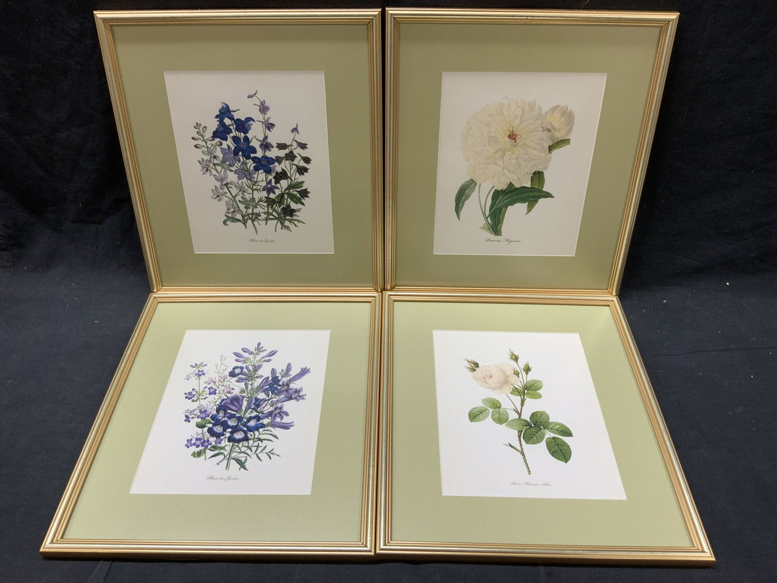 4 Framed Jane Loudon Botanical Lithographs (1 of 12)