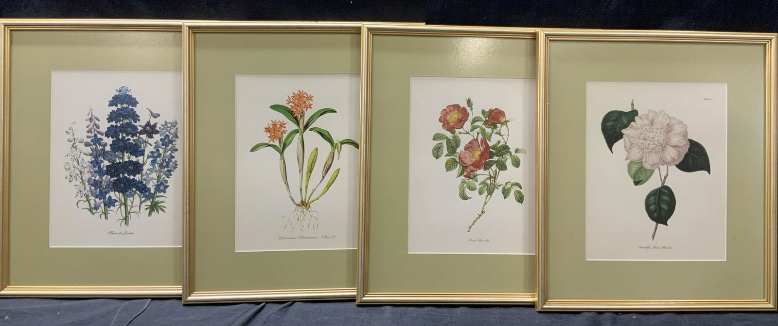 4 Various Botanical Lithographs, Fleur De Jardin (1 of 11)