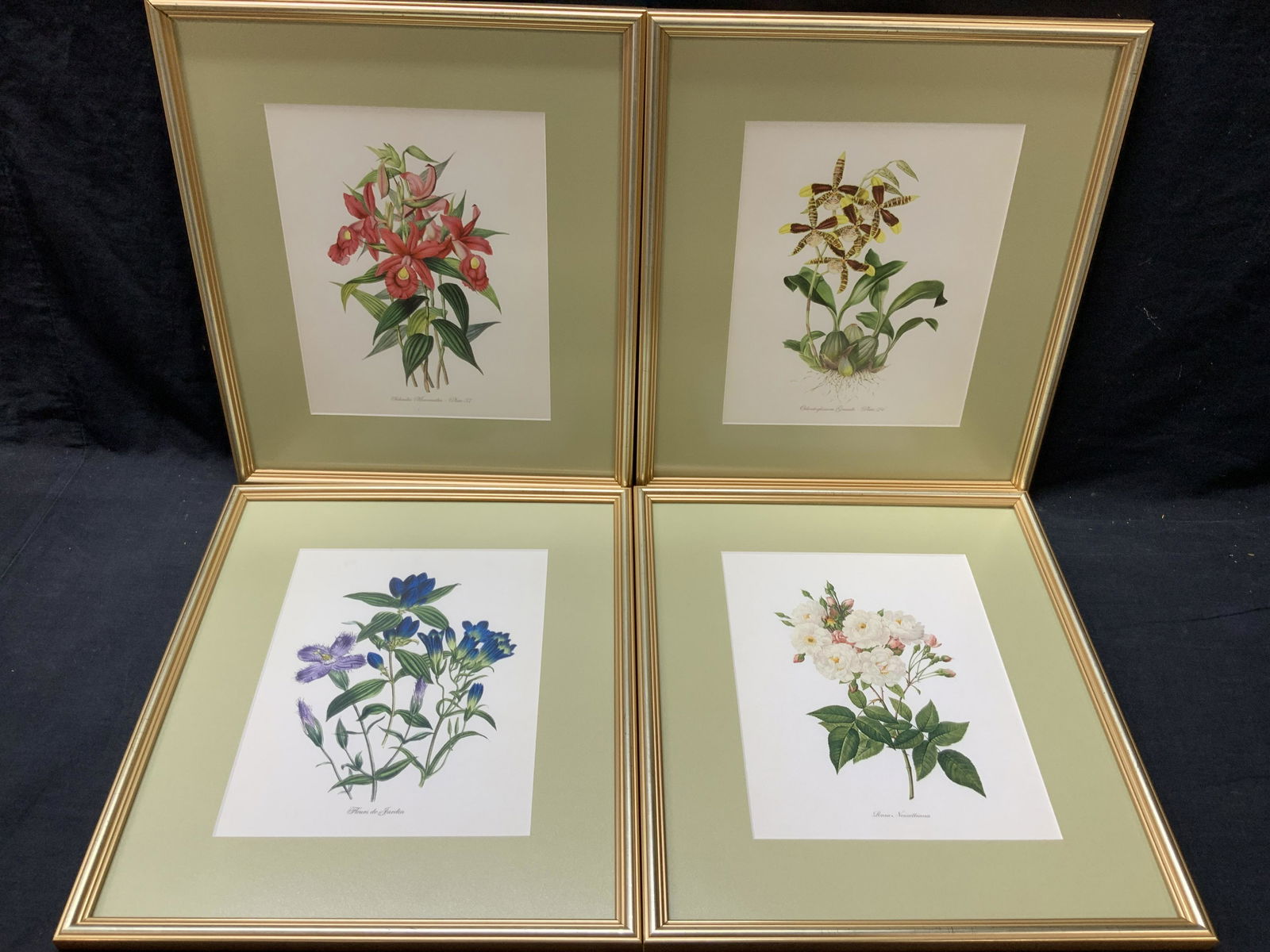 4 Botanical Bouquet Lithographs (1 of 13)