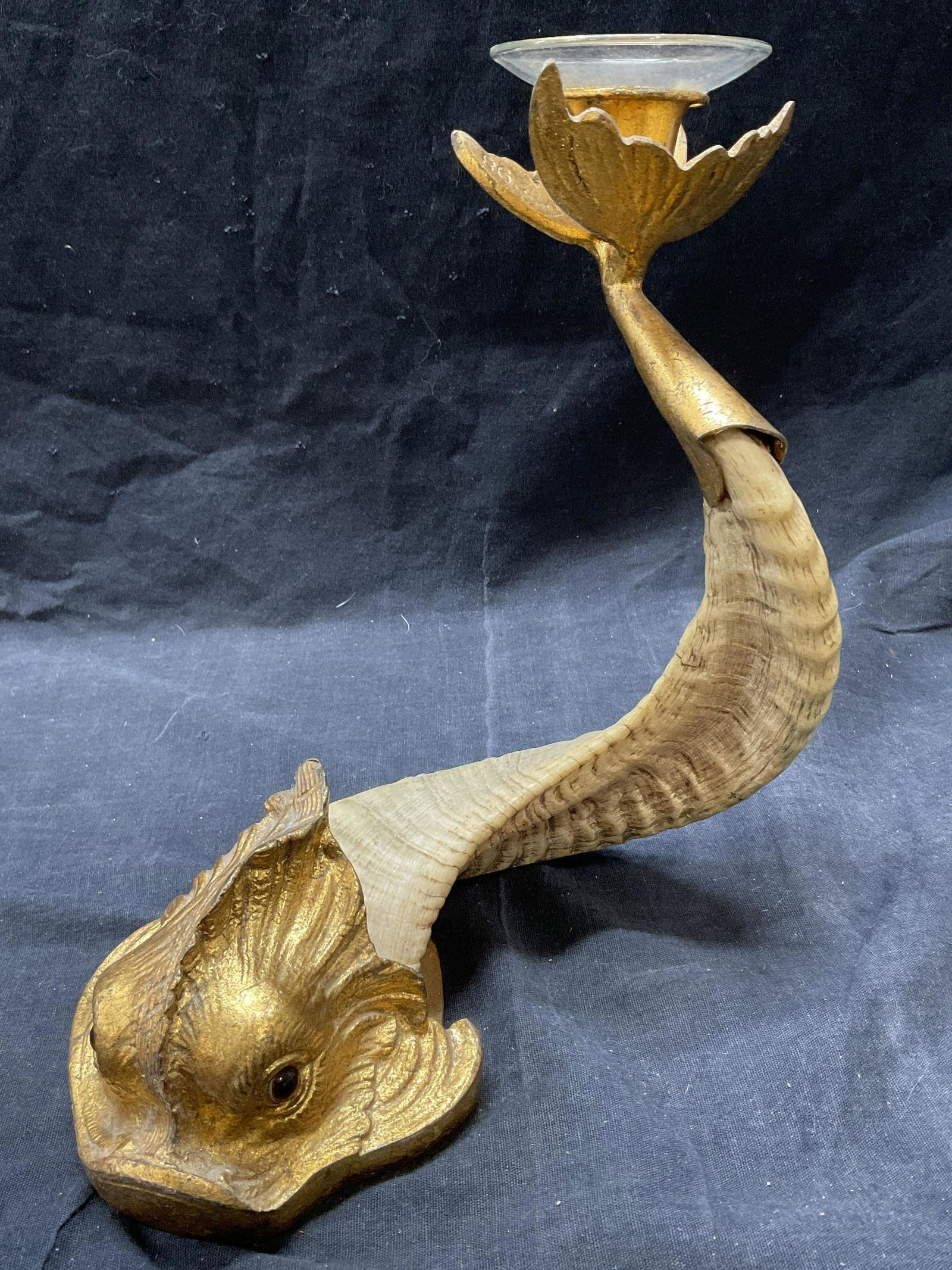 Gilt Bronze and Ram Horn Candle Holder, ITALY (1 of 7)