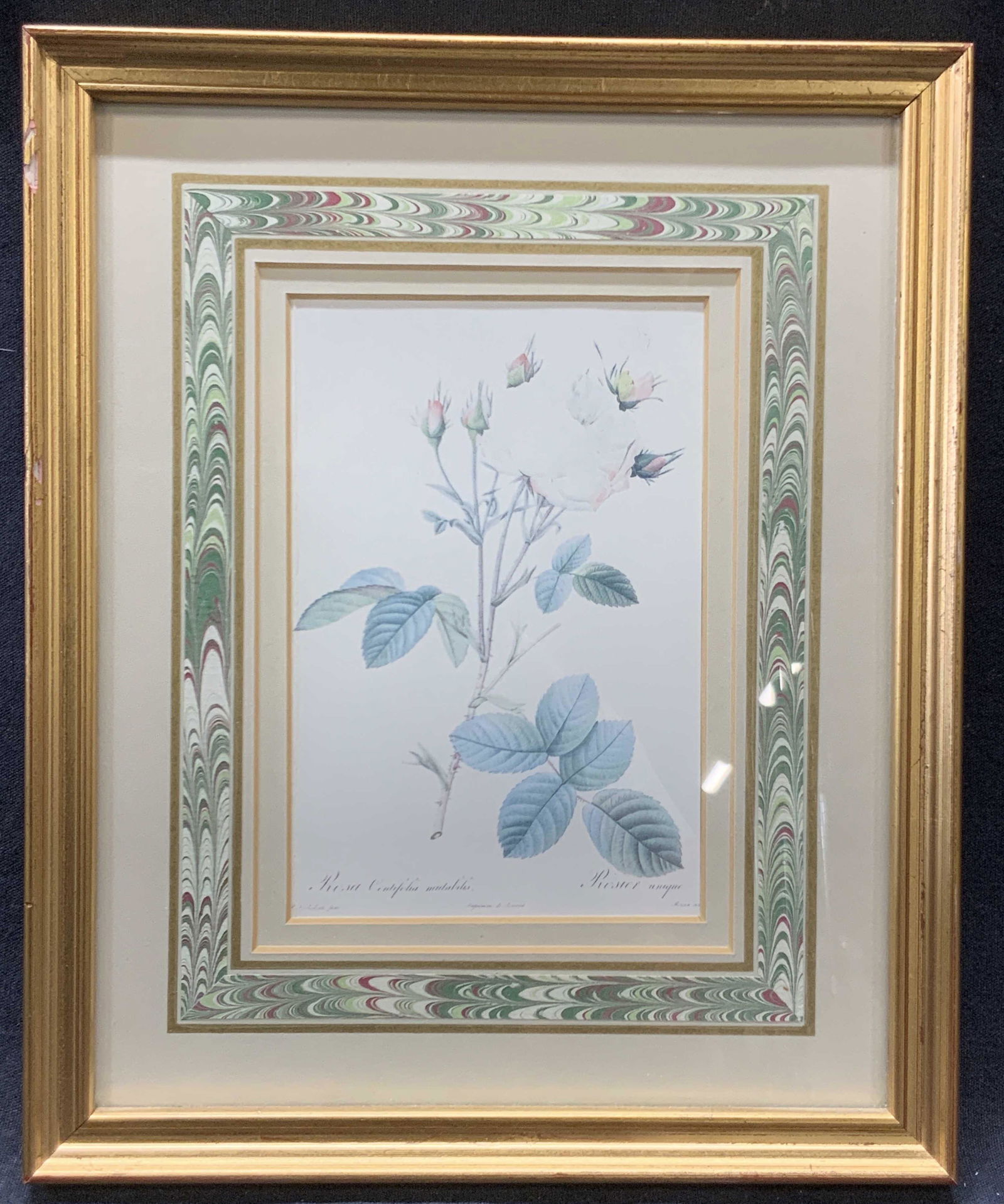 Vintage White Rose Lithograph (1 of 11)