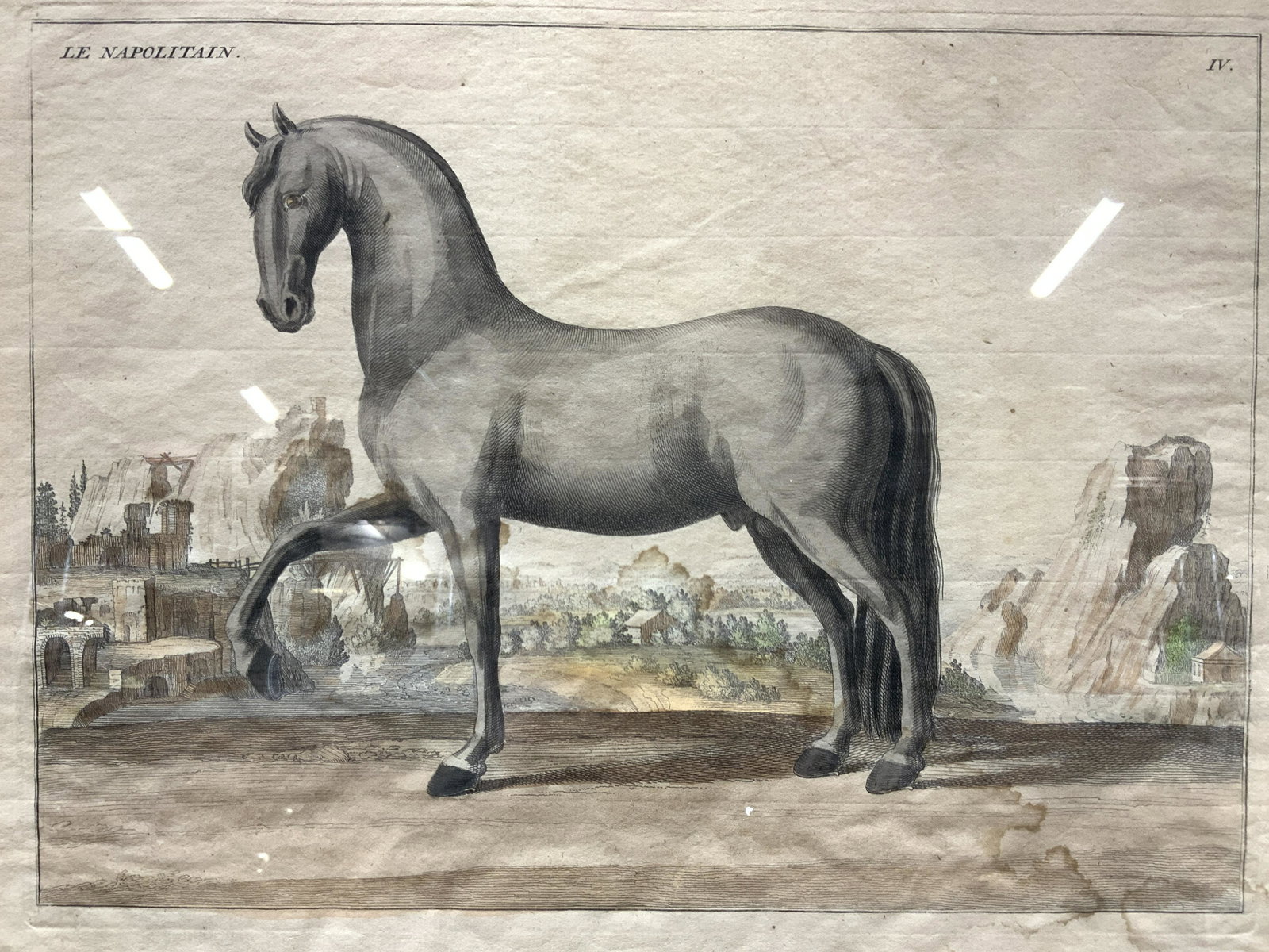 Eisenberg Cheval Style Hand Colored Etching (1 of 11)