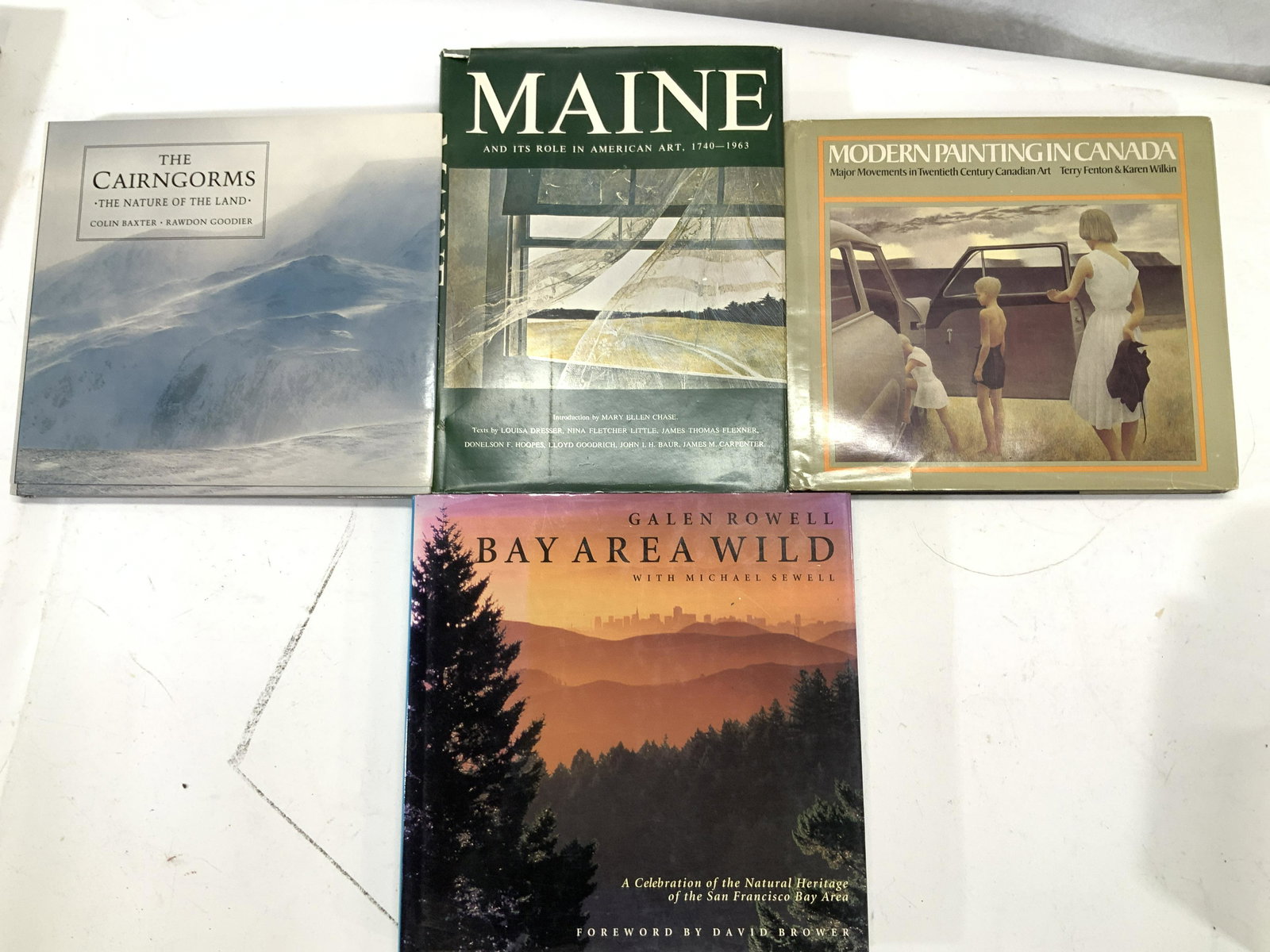 4 Coffee Table Books:Wilderness,Nature, Painting (1 of 13)