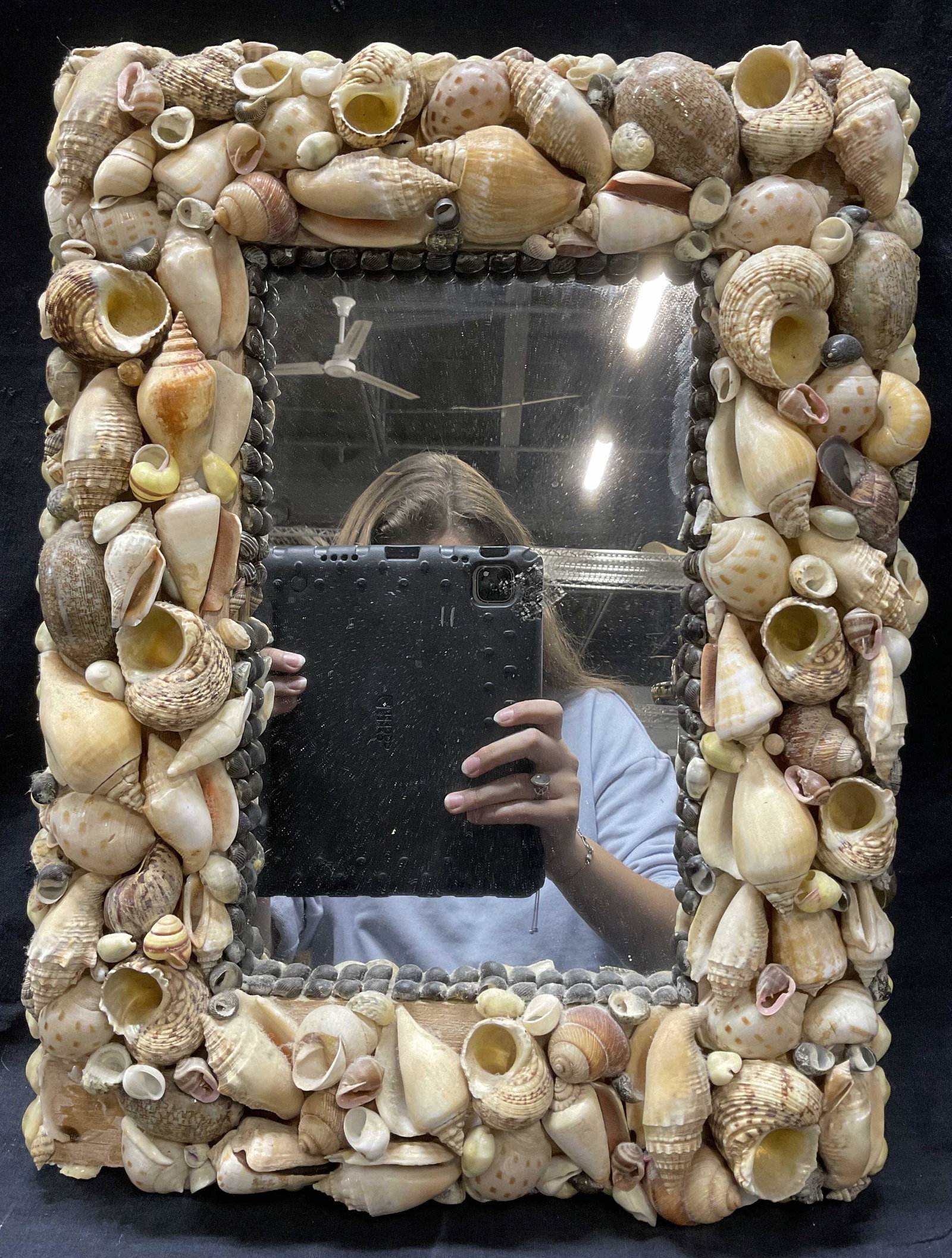 Mirror W Sea Shell Frame (1 of 6)