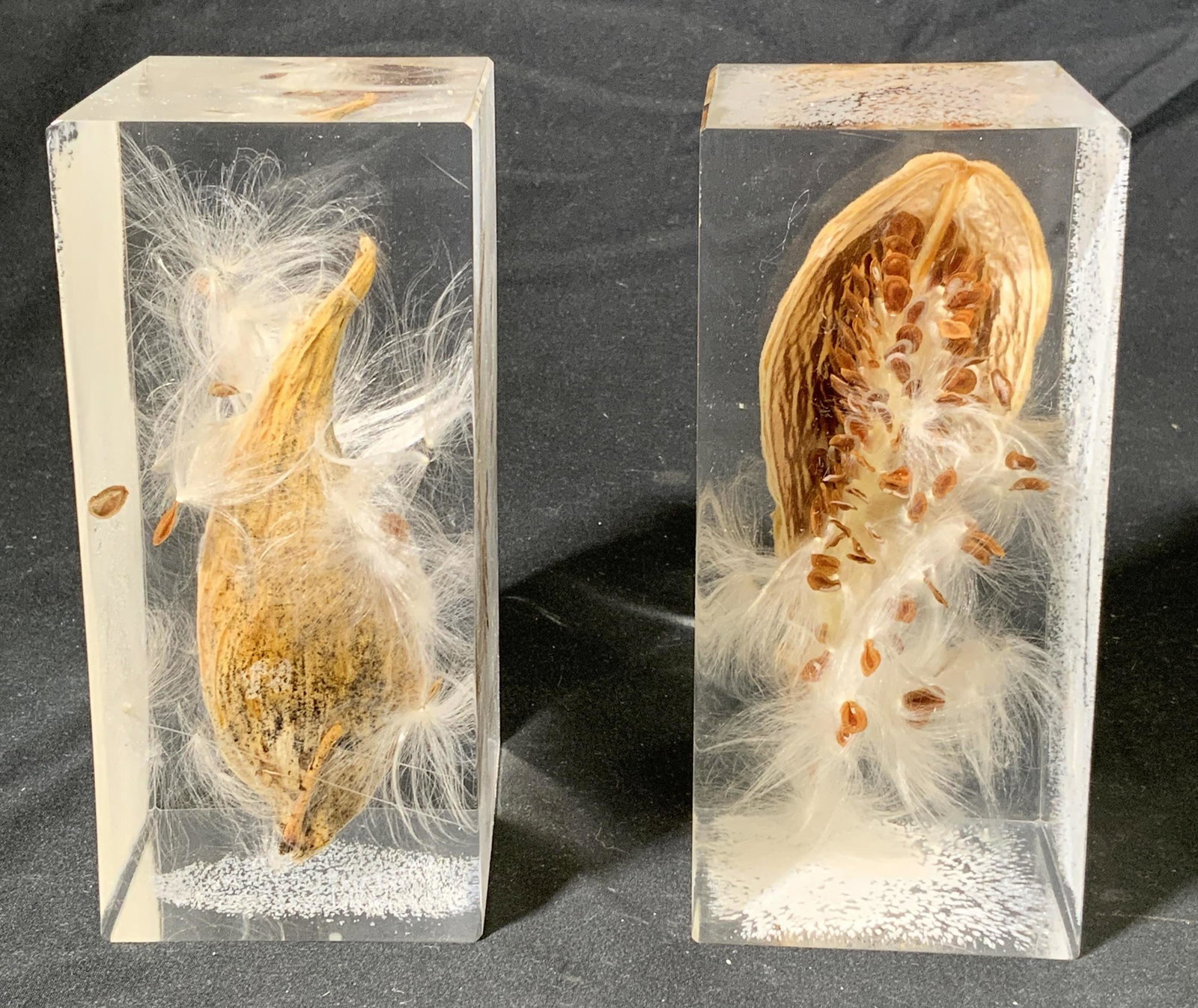 Pair Vintage Lucite Milkweed Displays (1 of 8)