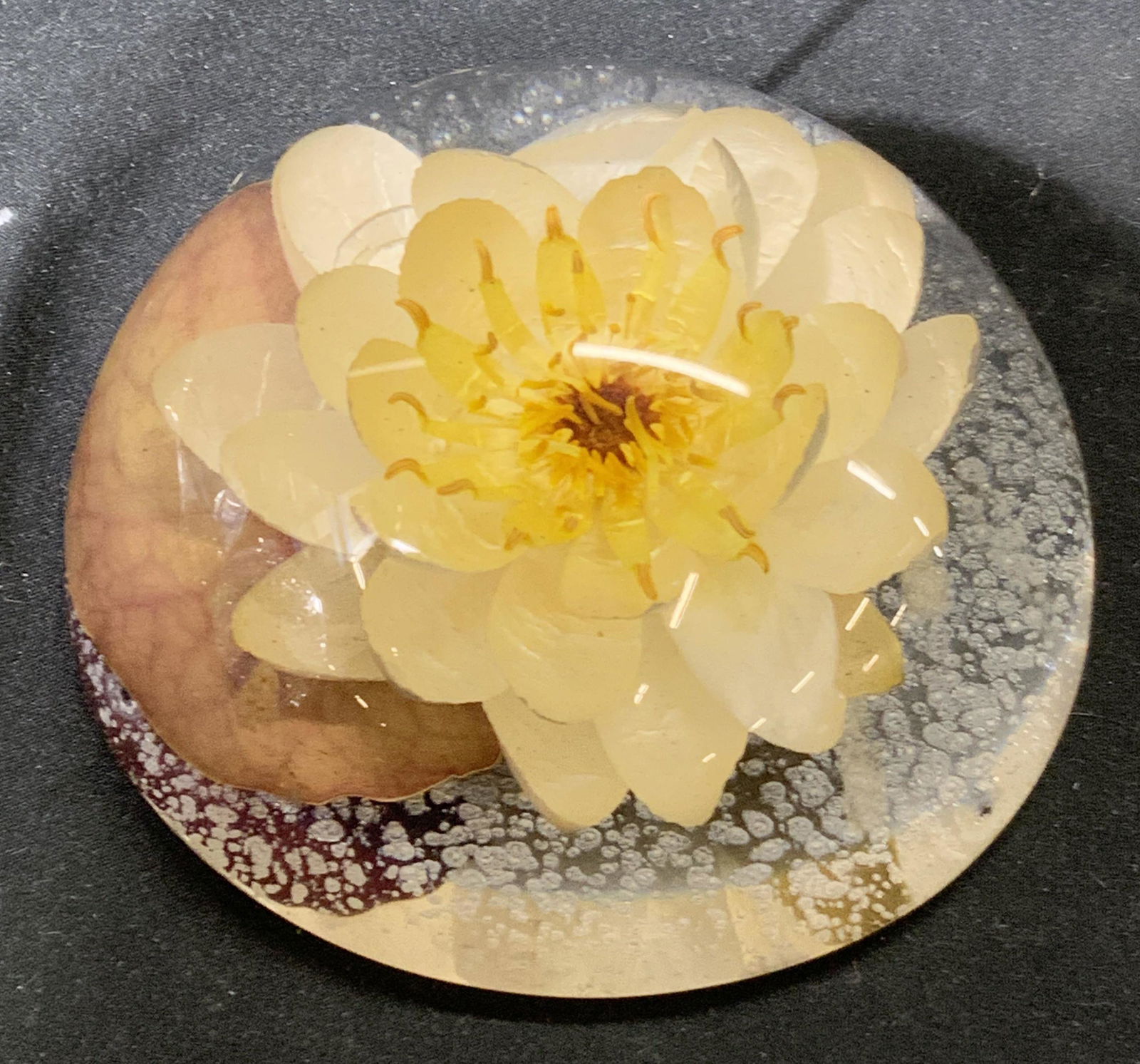 W ROLFE Vintage Water Lily Lucite Paperweight (1 of 6)