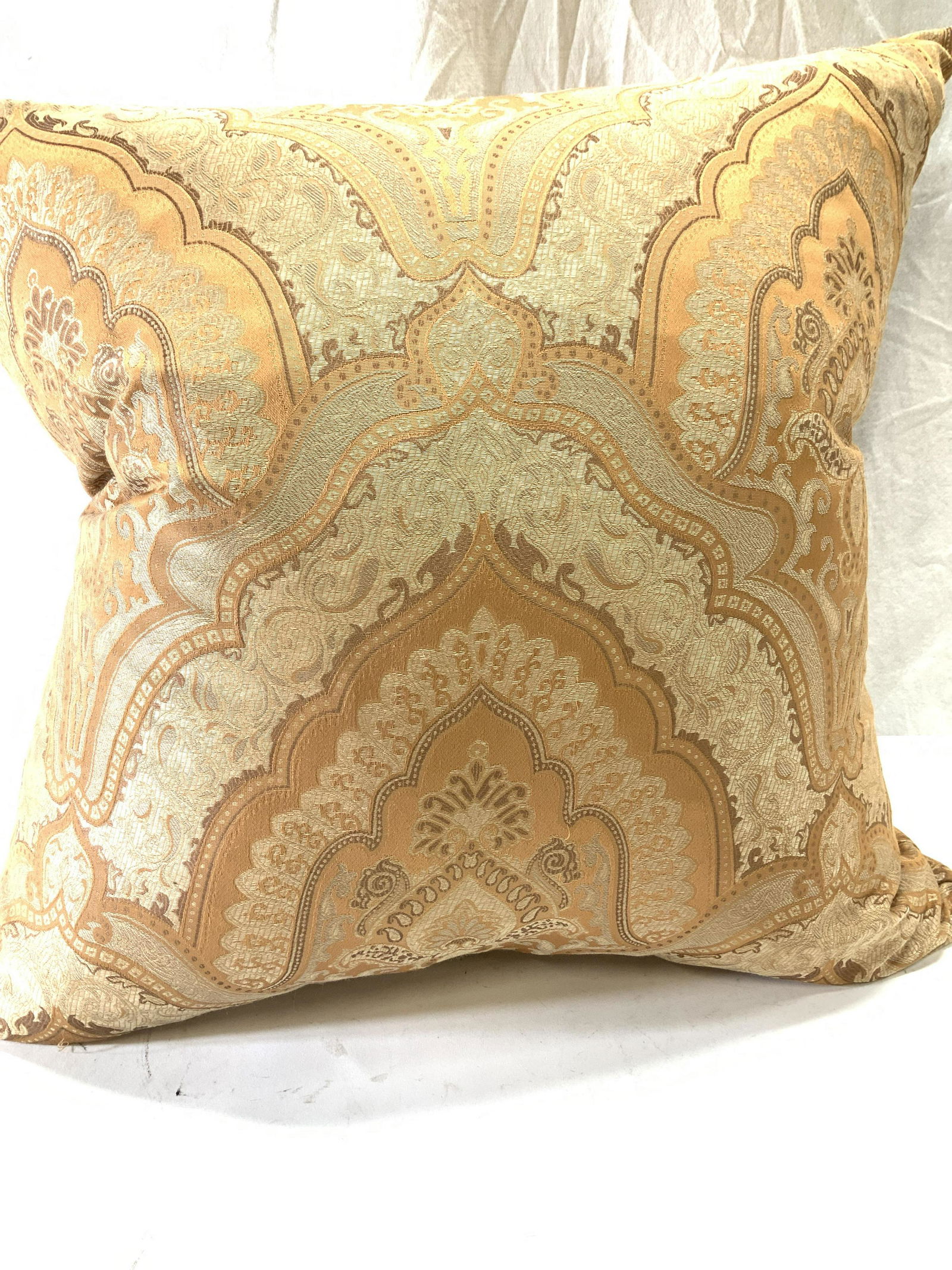 Goose Feather & Down 22 in. Decorative Toss Pillow (1 of 5)