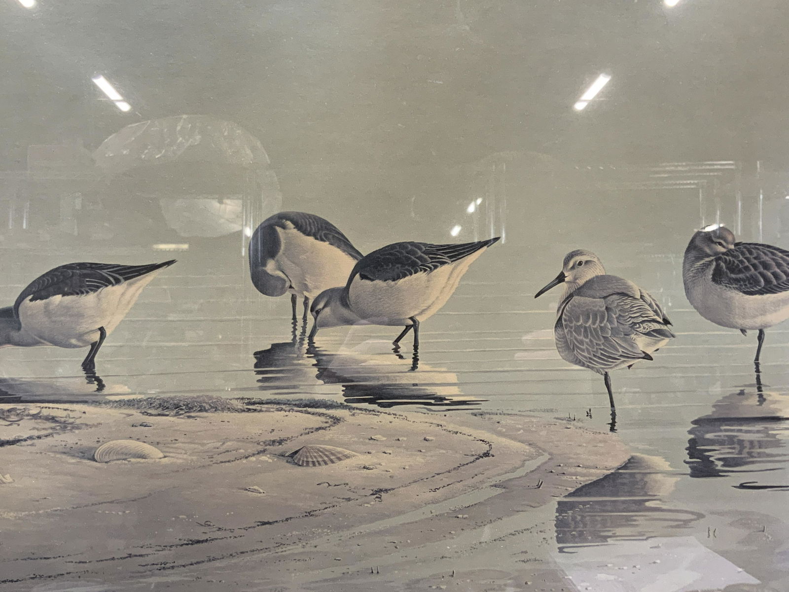 Richard Evans Younger SandPipers Offset Litho (1 of 10)