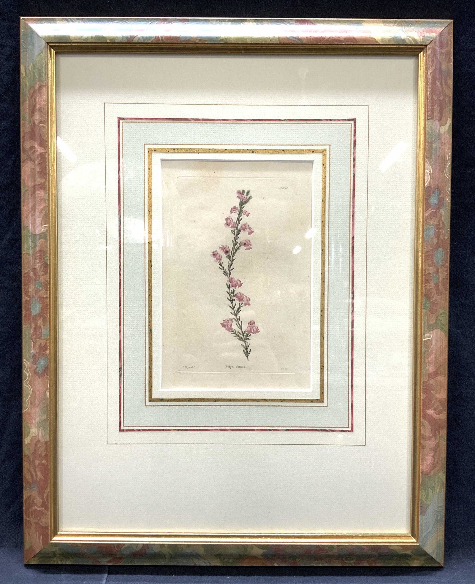 Hand Painted Botanical Plate Etching (1 of 10)