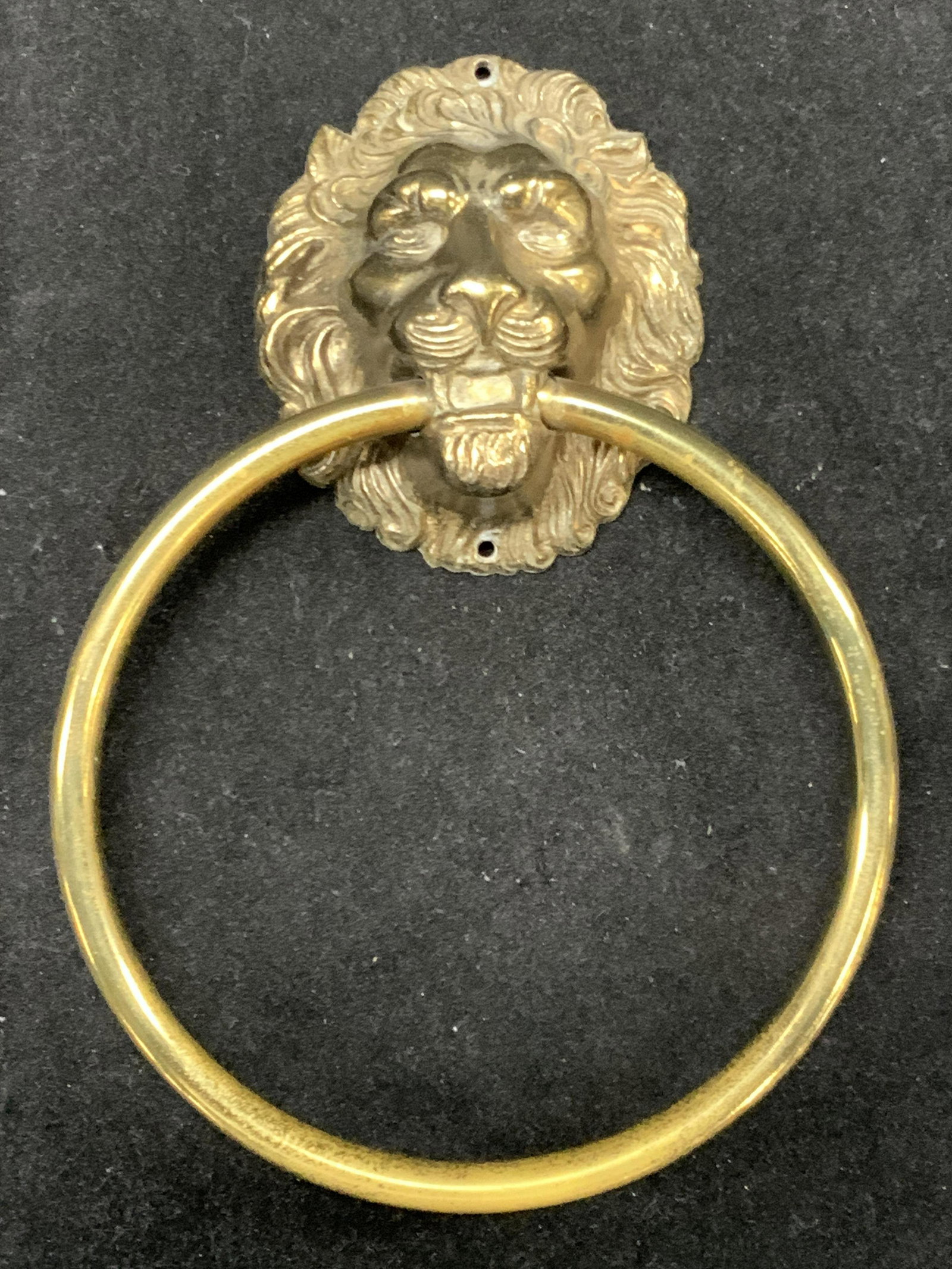 Vintage Cast Iron Lion Door Knocker (1 of 8)