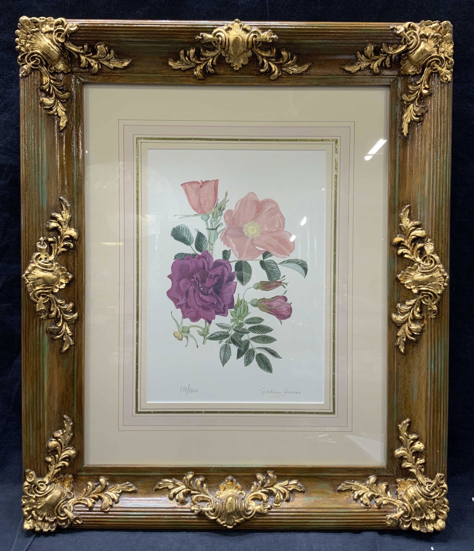 GRAHAM THOMAS Limited Edition Botanical Litho (1 of 13)