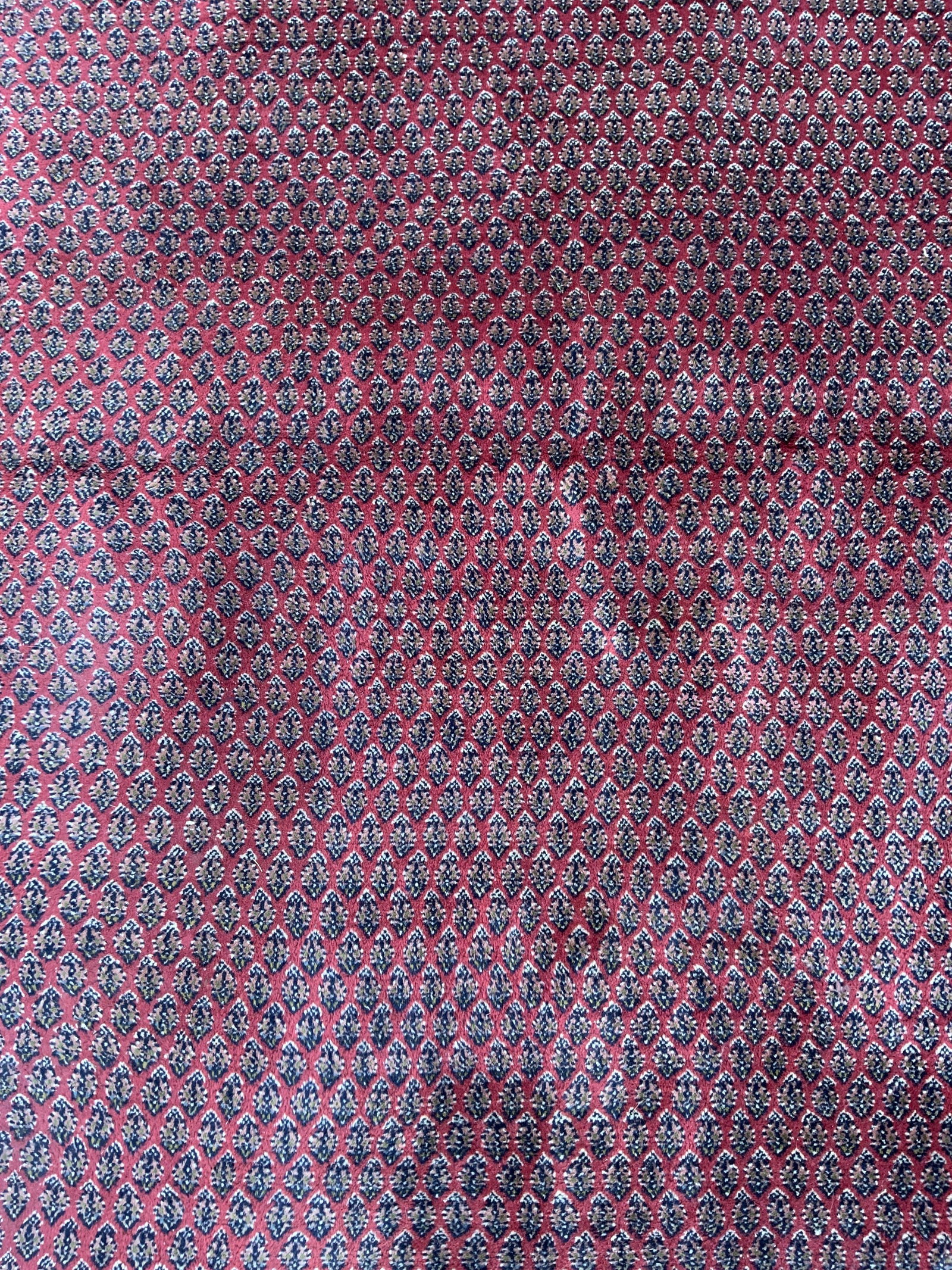 Vintage Oversized Fringed Wool Area Rug (1 of 10)