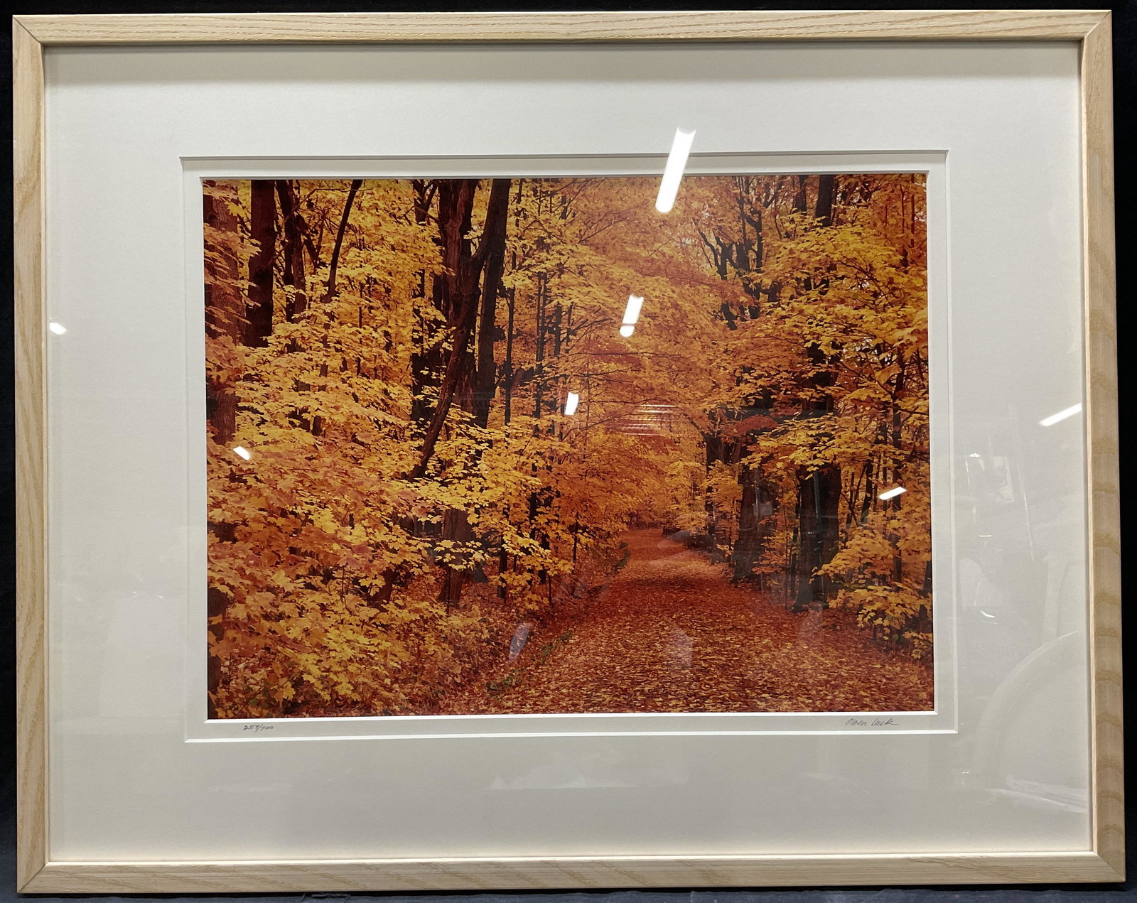 SGND Ltd. Framed Fall Photograph, O. Luck (1 of 6)