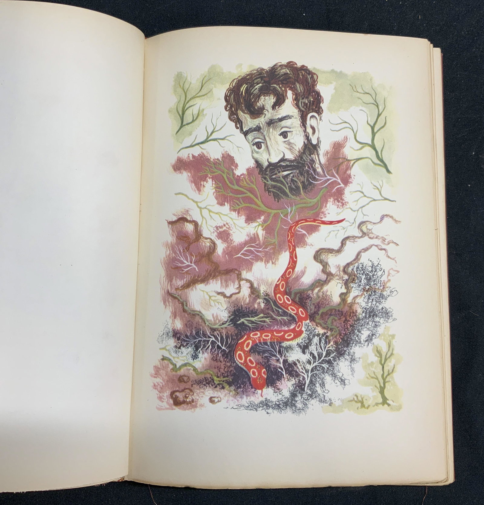 Green Mansions by W. H. Hudson, Illustrated: Hardcover copy of Green Mansions: A Romance of the Tropical Forest by W. H. Hudson. Paintings and drawings by Horacio Butler. Published by Alfred A. Knopf, 1943. Wear to cover, pages, and spine consis