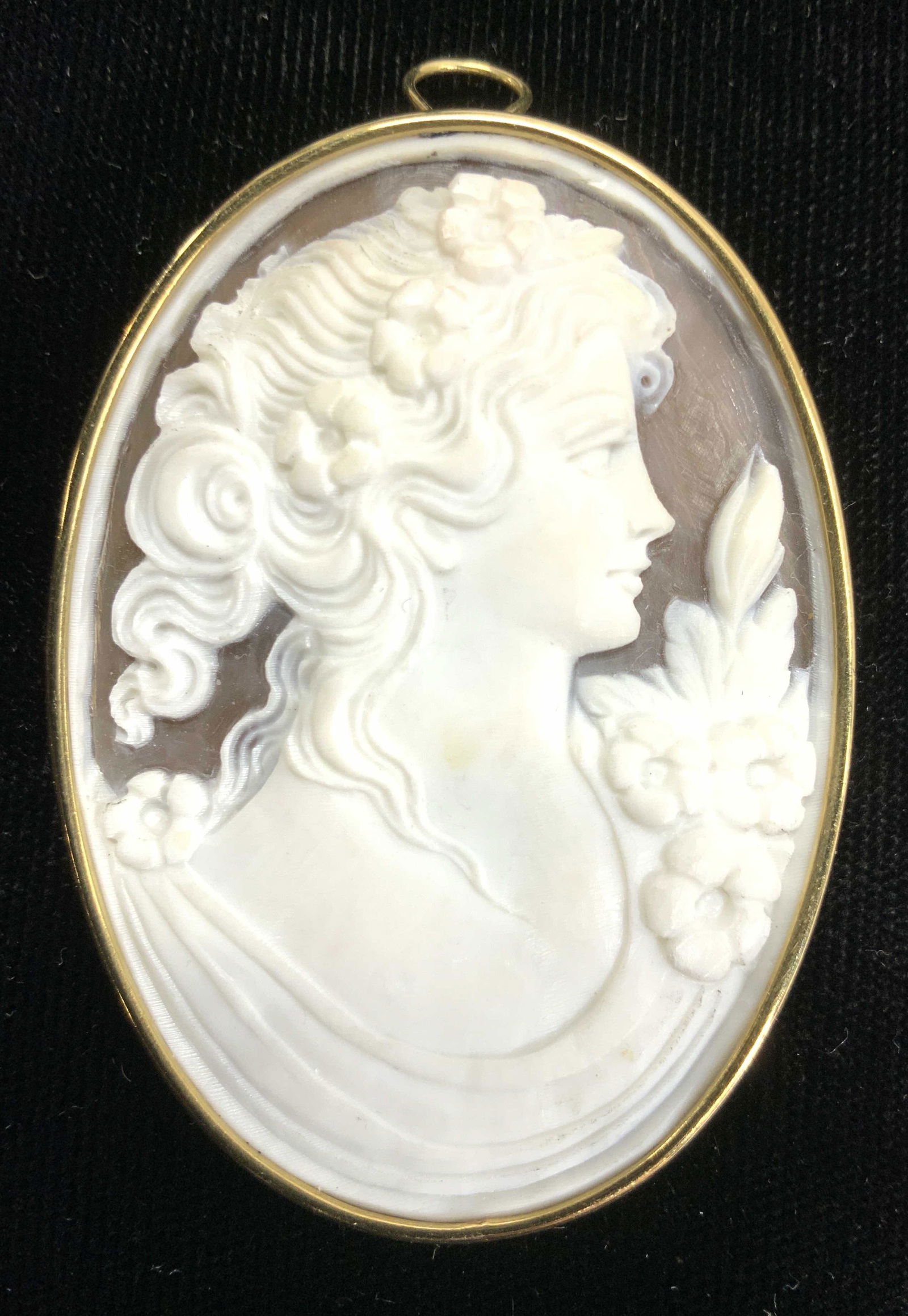 18k gold Carved Resin Cameo Brooch/Pendant (1 of 7)