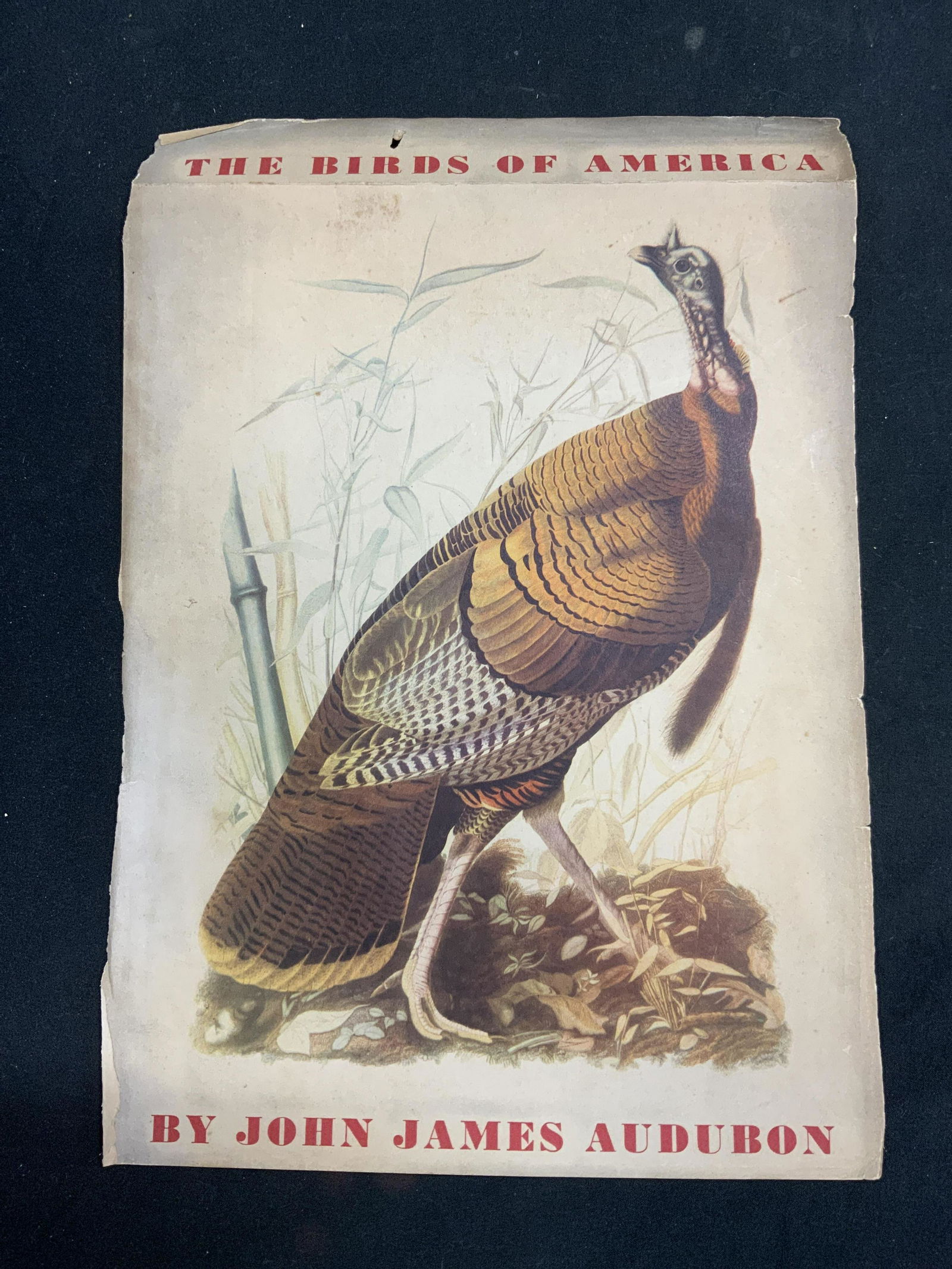 Birds of America, John James Audubon, 1937 (1 of 9)