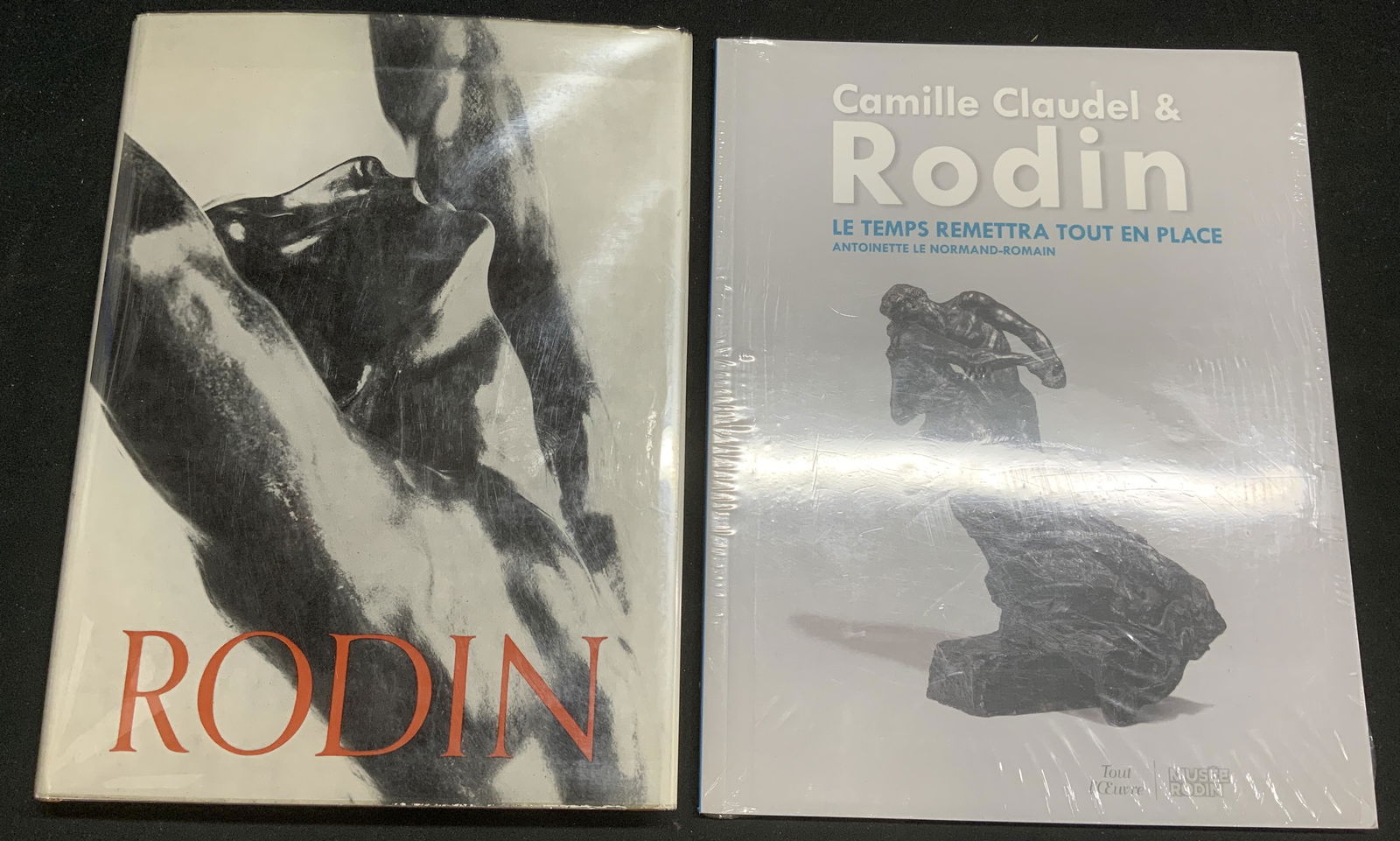 Lot 2 Auguste Rodin Sculpture Books (1 of 11)