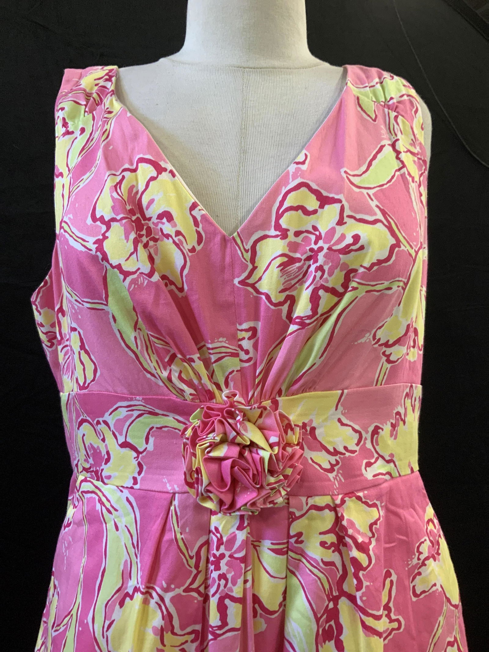 Lilly Pulitzer Cotton Summer Dress (1 of 6)