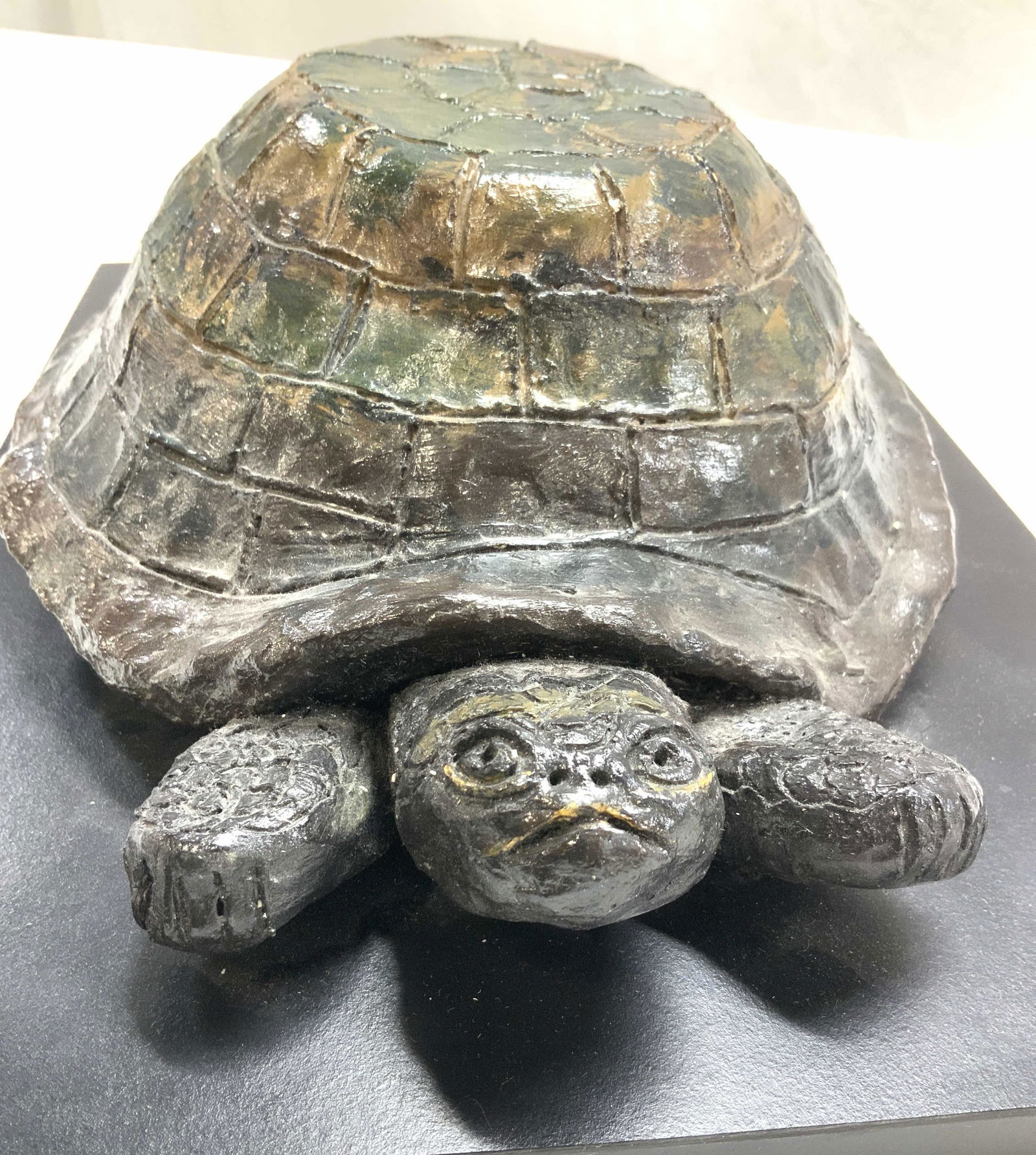 Studio Ceramic Turtle Art Sculpture on Board (1 of 7)