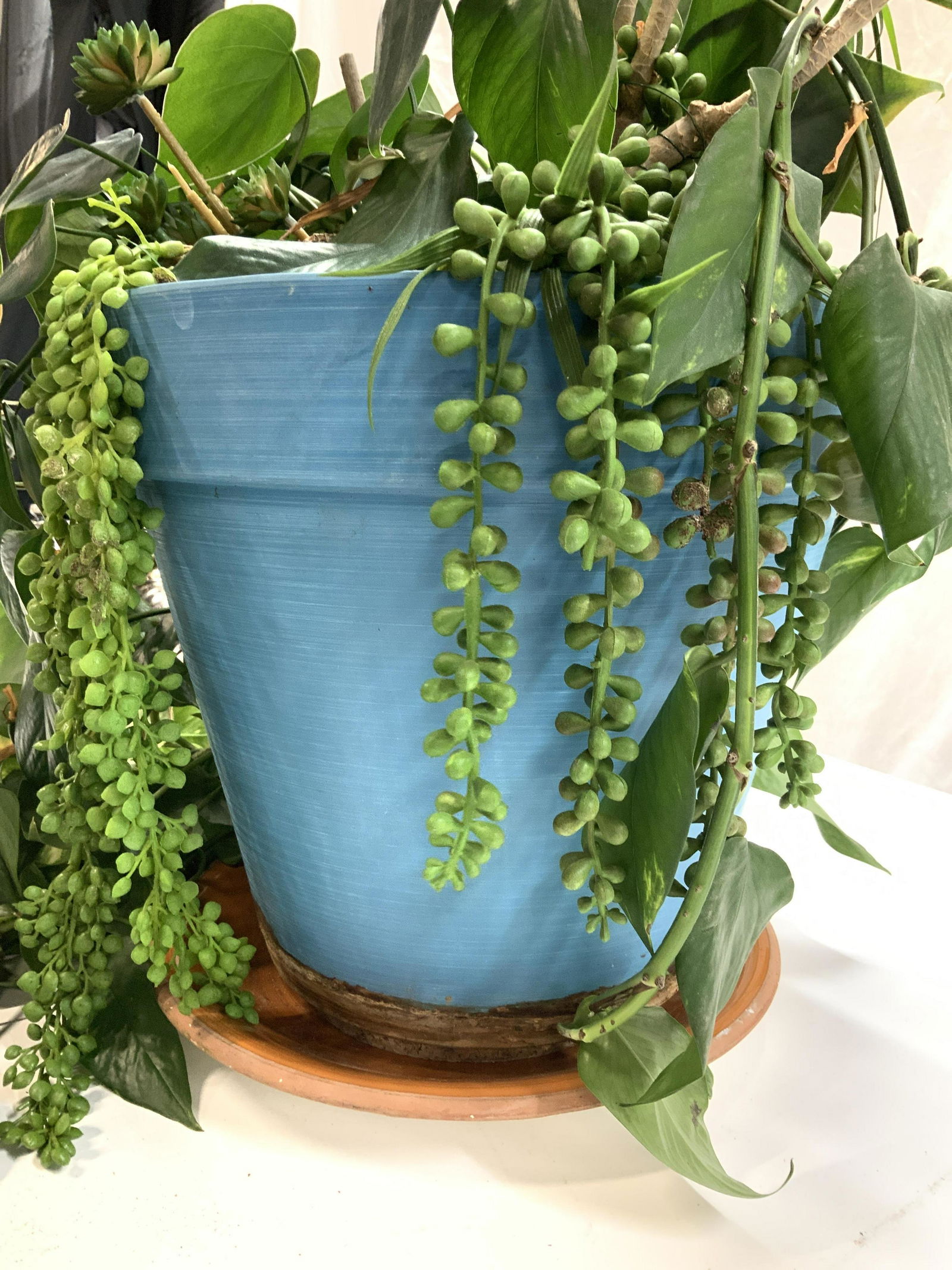 Planter W Underplate and Faux Plants (1 of 9)