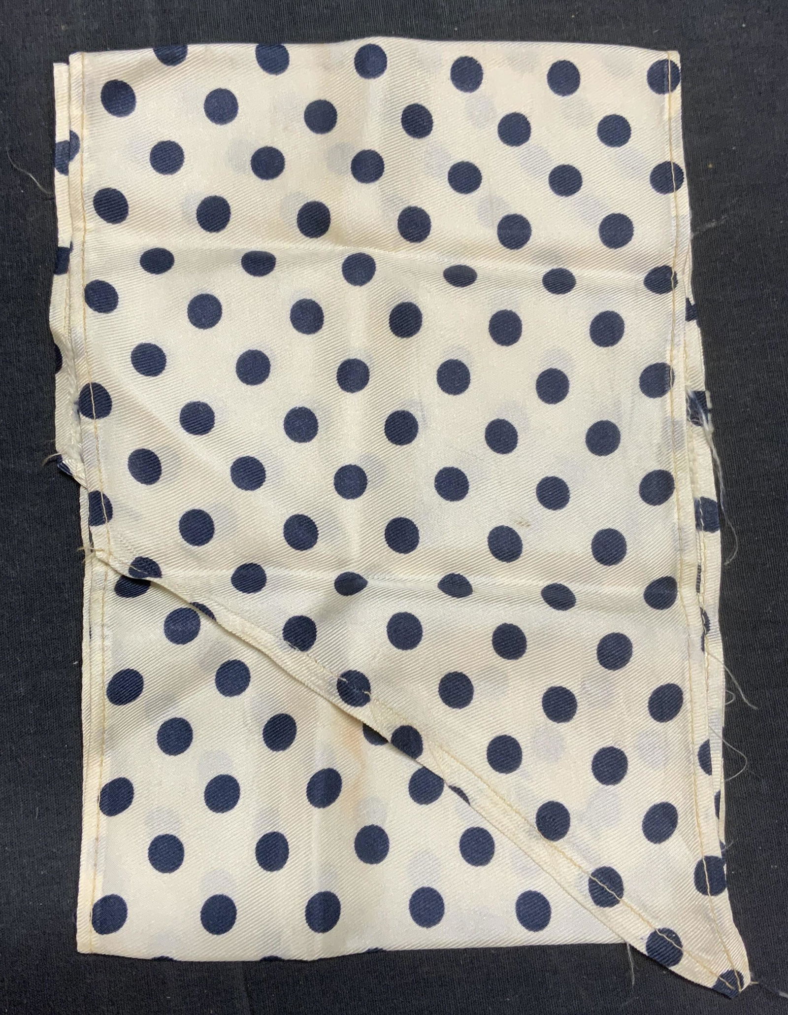 Blue/White Polka Dot Scarf (1 of 6)