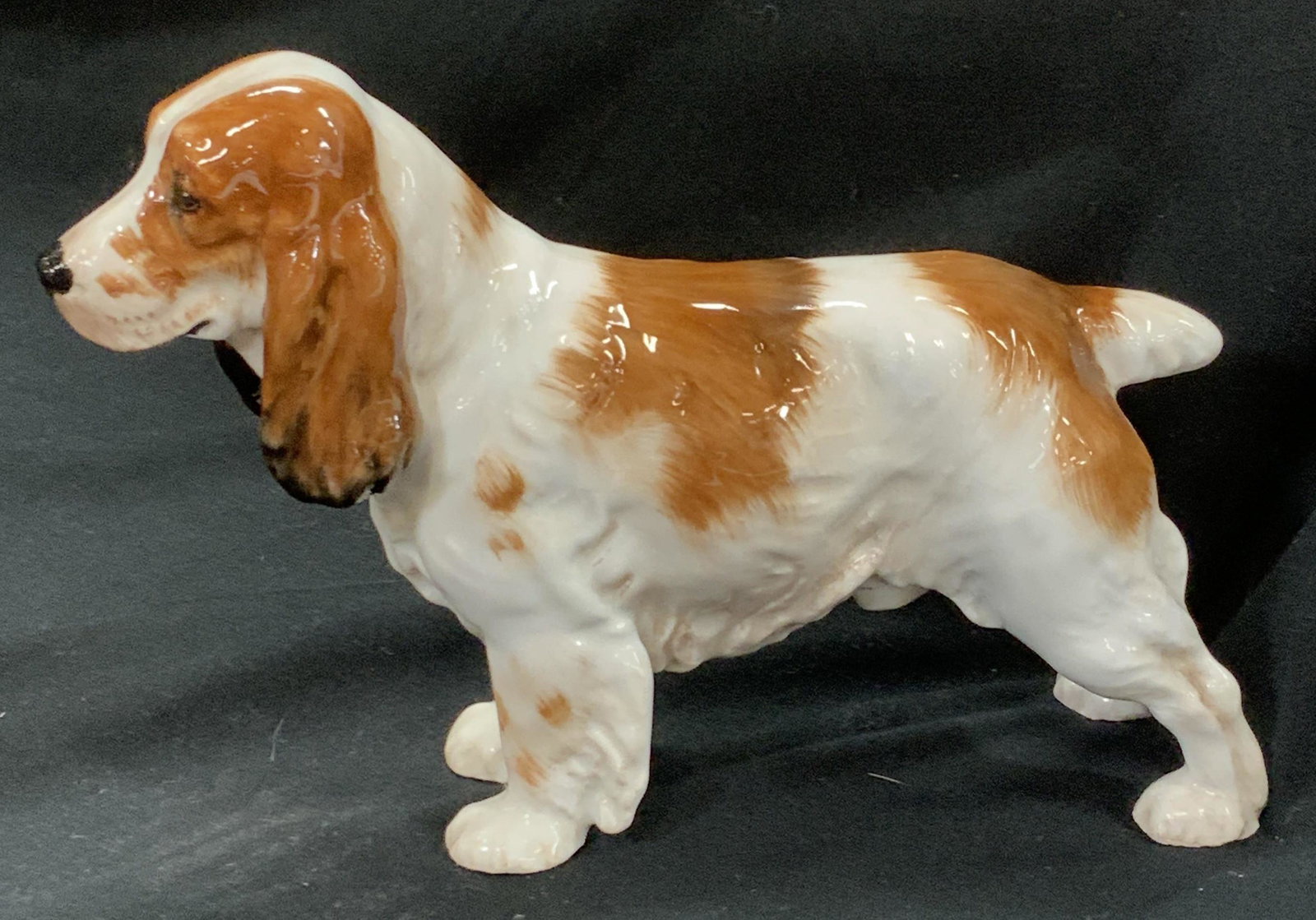 Royal Doulton Cocker Spaniel Porcelain Dog, Eng: Hallmarked Royal Doulton fine bone China Hand painted cocker spaniel dog figural . Made in England. Brown and white with heavy glaze. Additional mark HN 1036 D. Measures 7.5 x 2.5 x 5.25 in. LWH ROYAL
