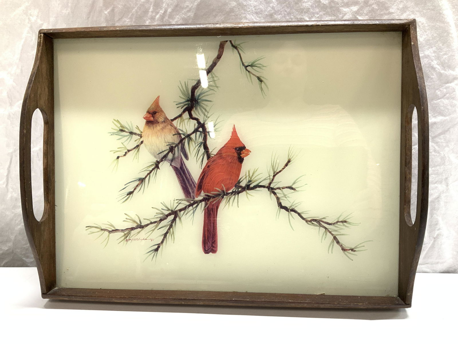 Cardinal Glass and Wood Serving Tray w Handles (1 of 6)