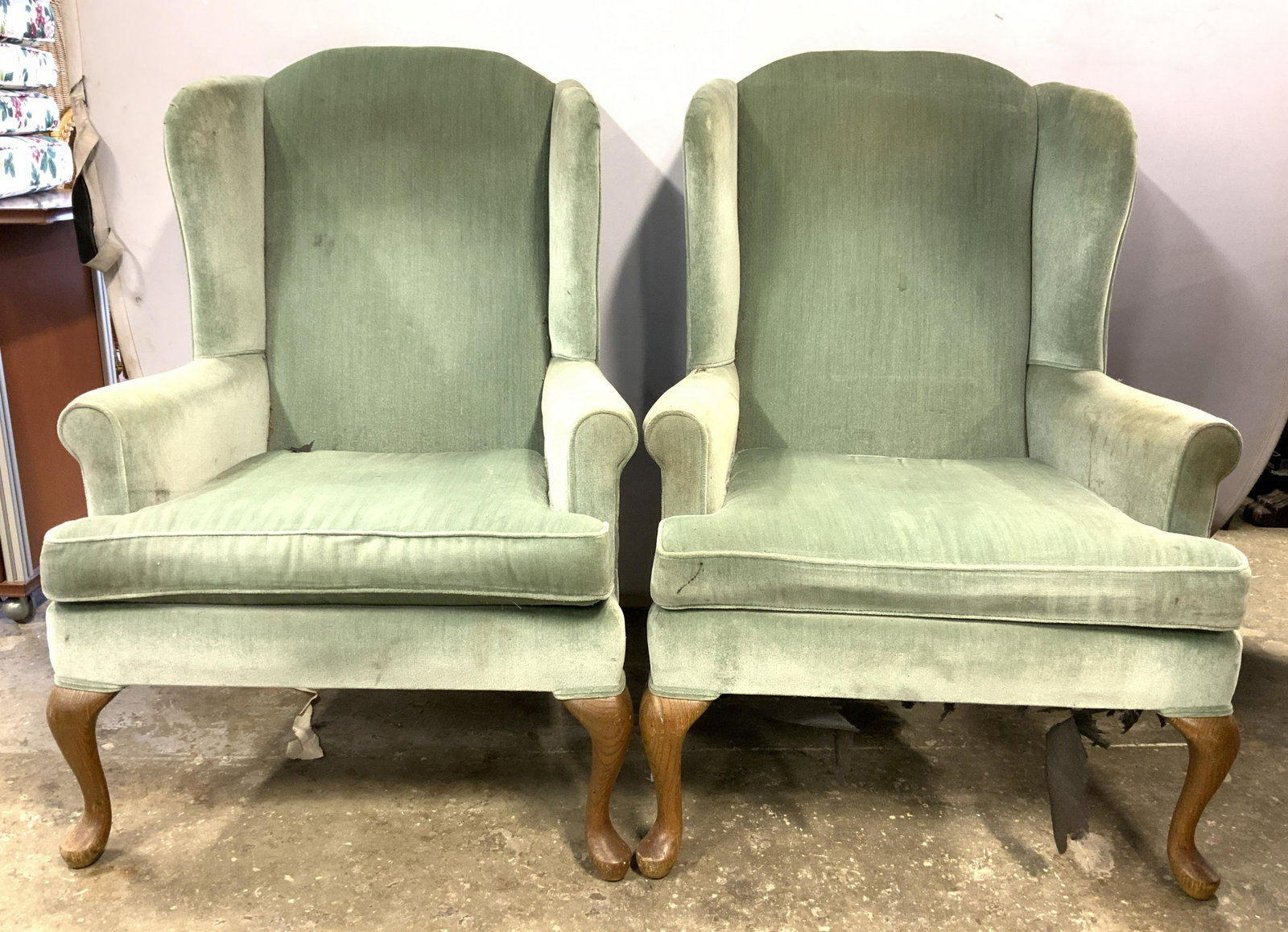 Pr Vtg Uph Wingback Armchairs W Queen Anne Legs: Armchairs have winged backrests. Each are upholstered mint green toned fabric, possibly crushed velvet. Some edges of upholstery have welting. Each have 4 brown toned wooden legs 2 of which are Queen 