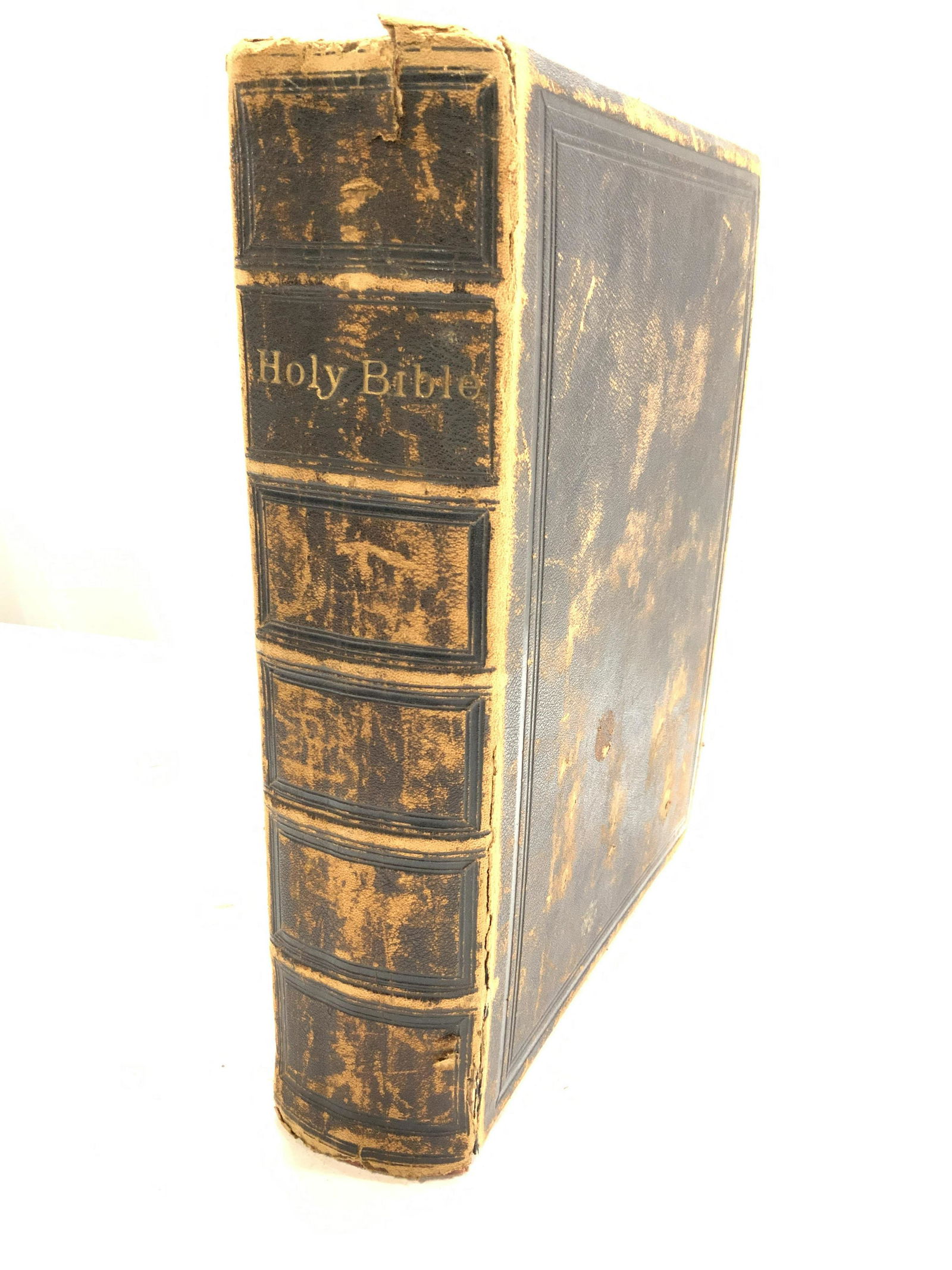 Signed Antique Grand Holy Bible , 1891 (1 of 16)