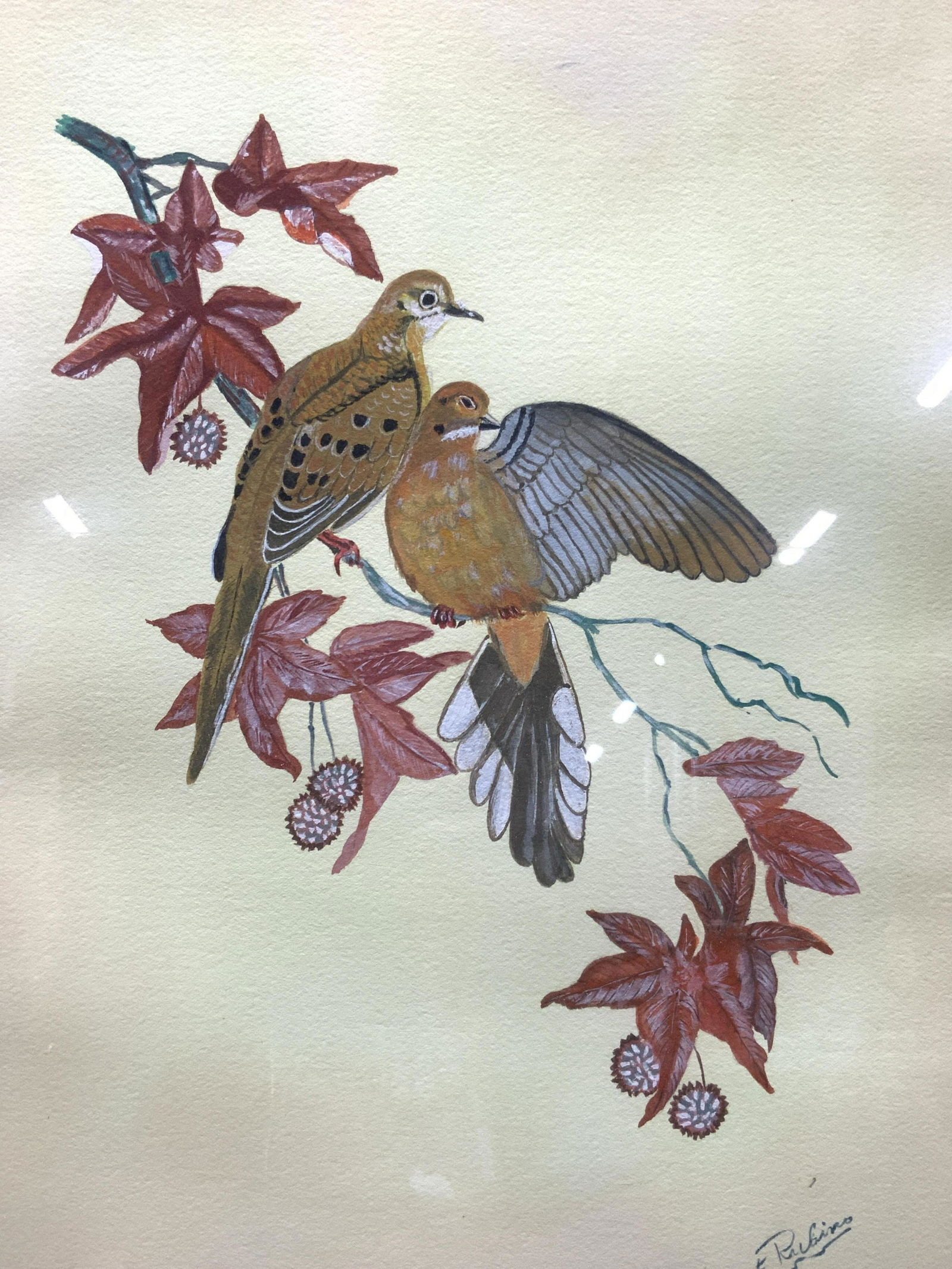 Signed Gouache Mourning Dove Painting (1 of 8)