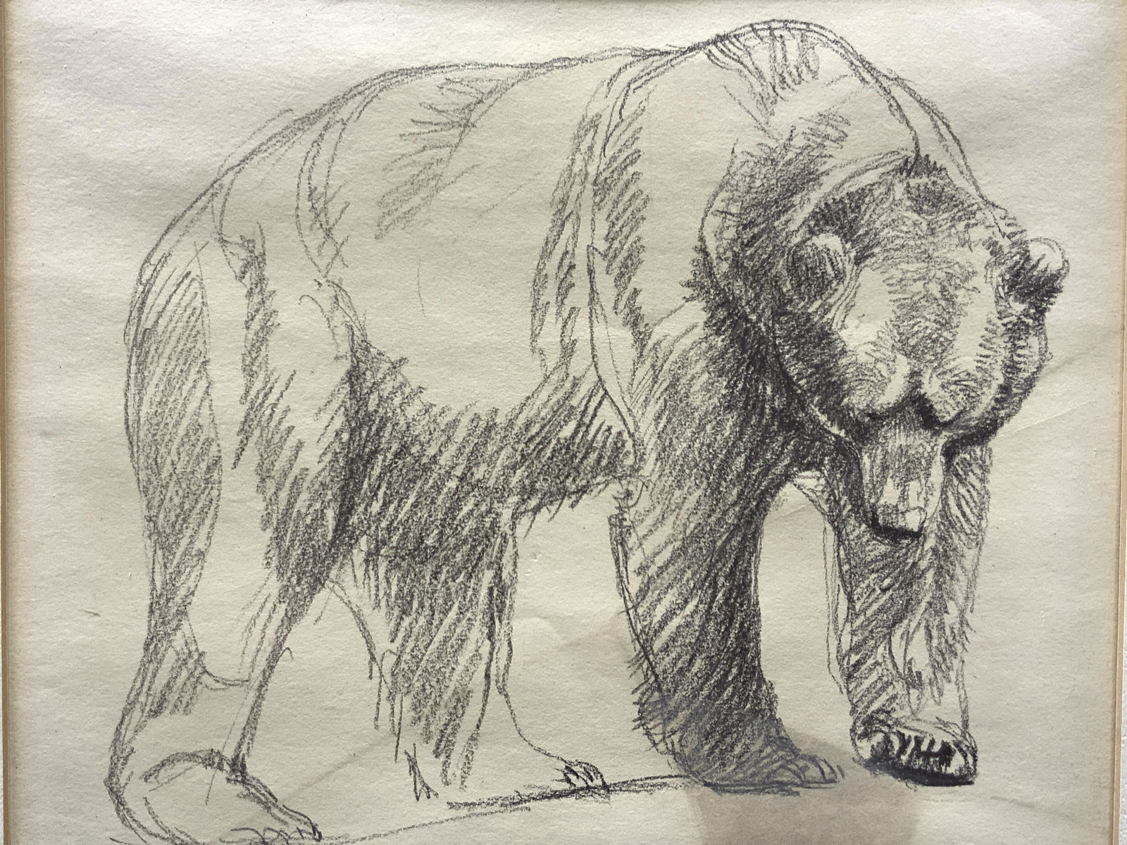 Signed & Framed Bear Graphite Drawing (1 of 9)