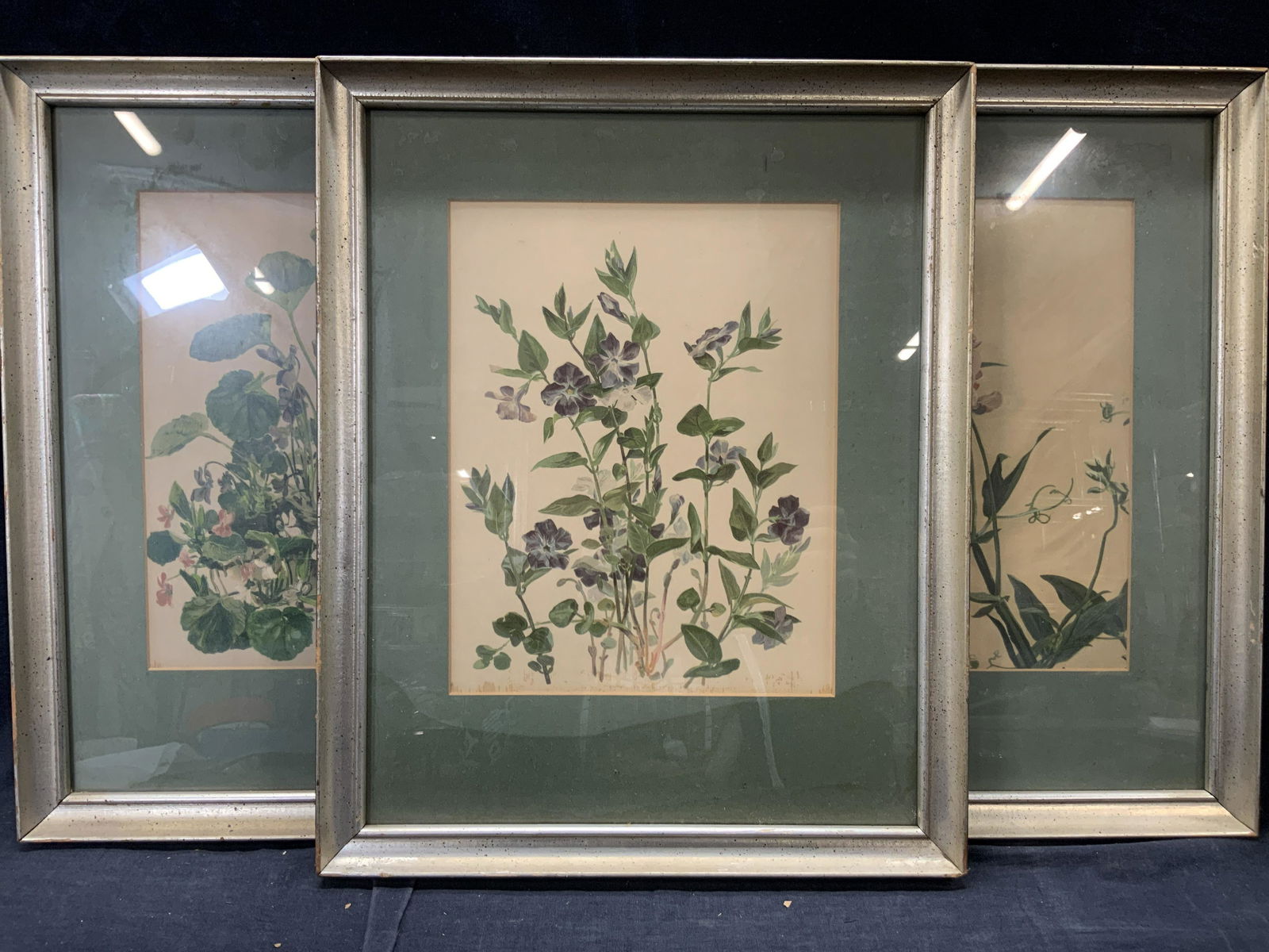 3 Vintage Framed Botanical Lithos (1 of 10)