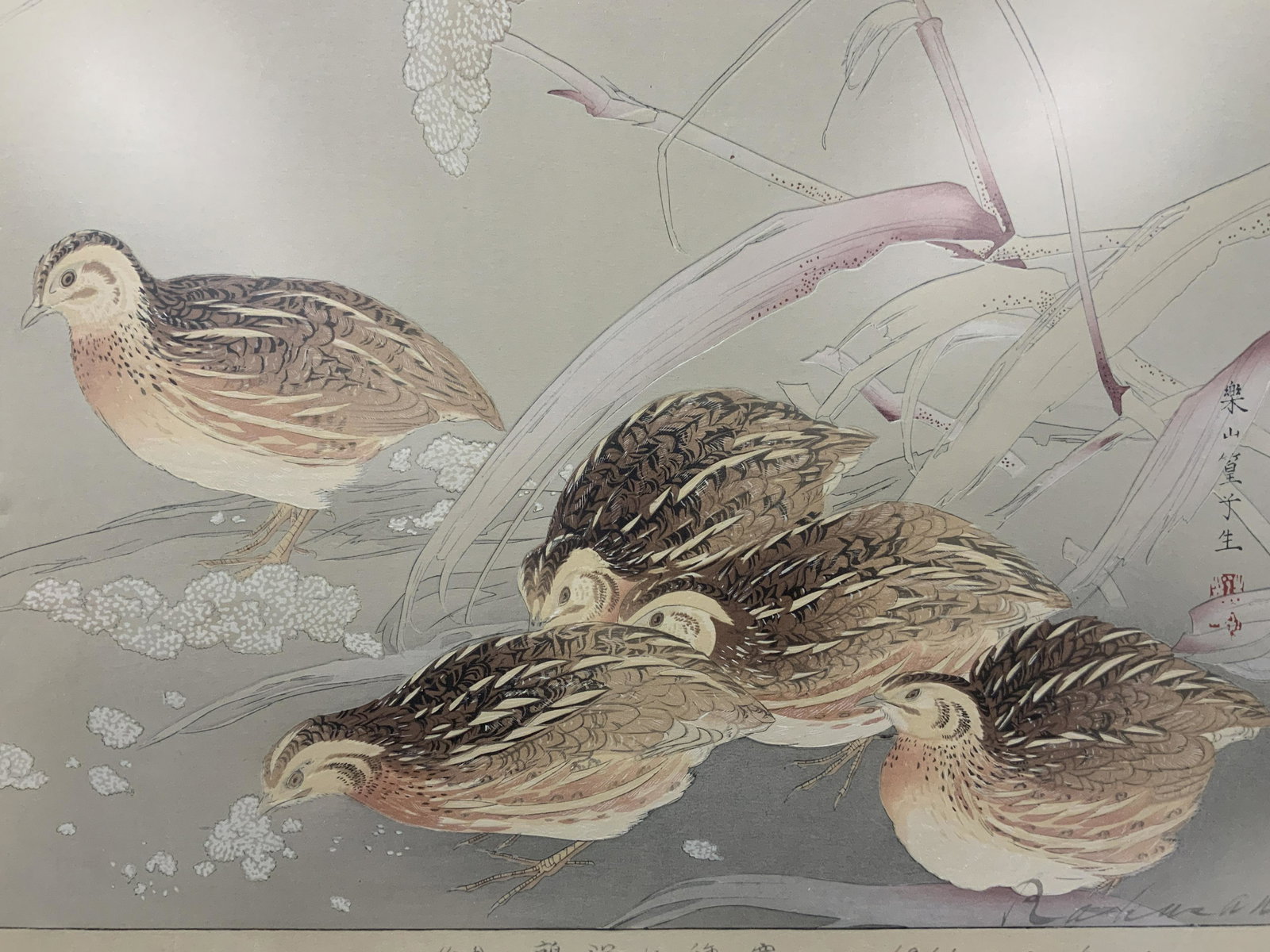 RAKUSAN Tsuchiya Signed Quail Block Print (1 of 12)