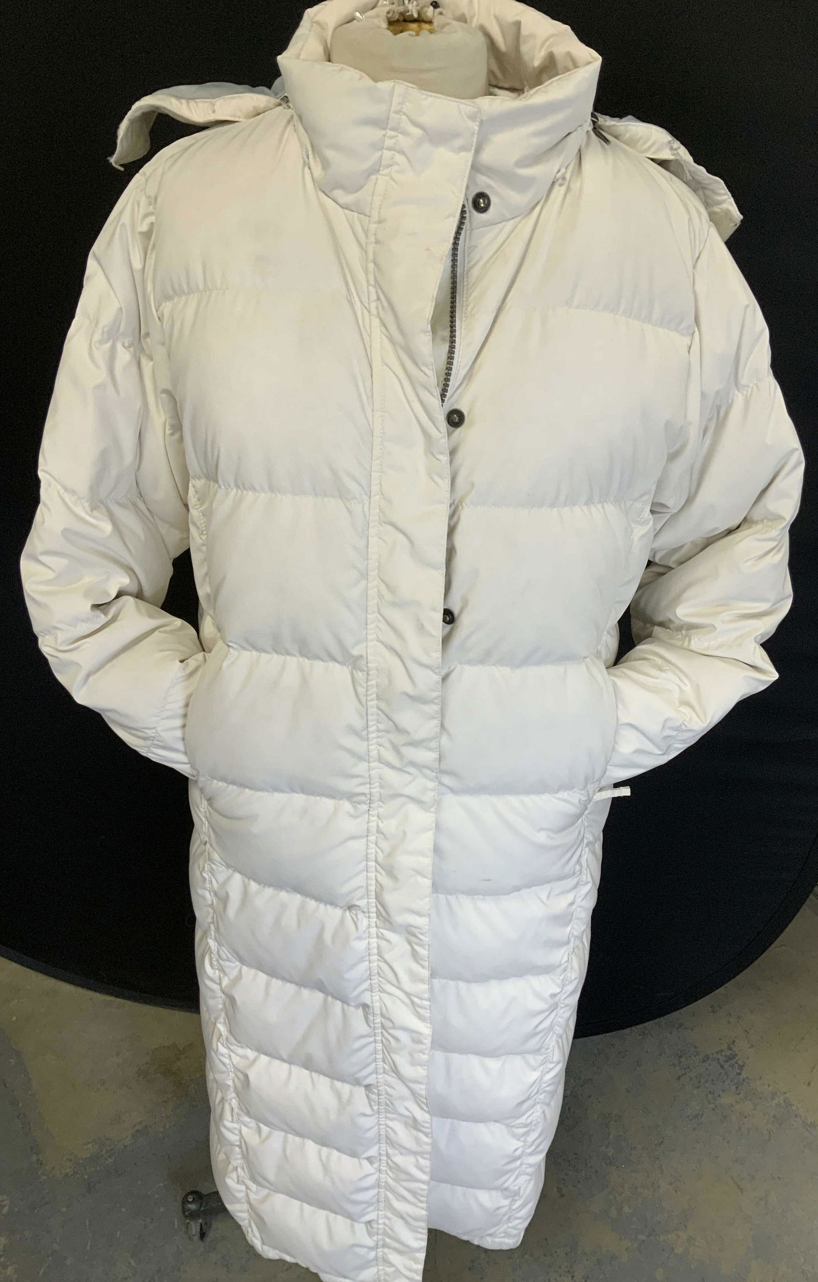 L.L. Bean Luxury Full Length Goose Down Coat (1 of 8)