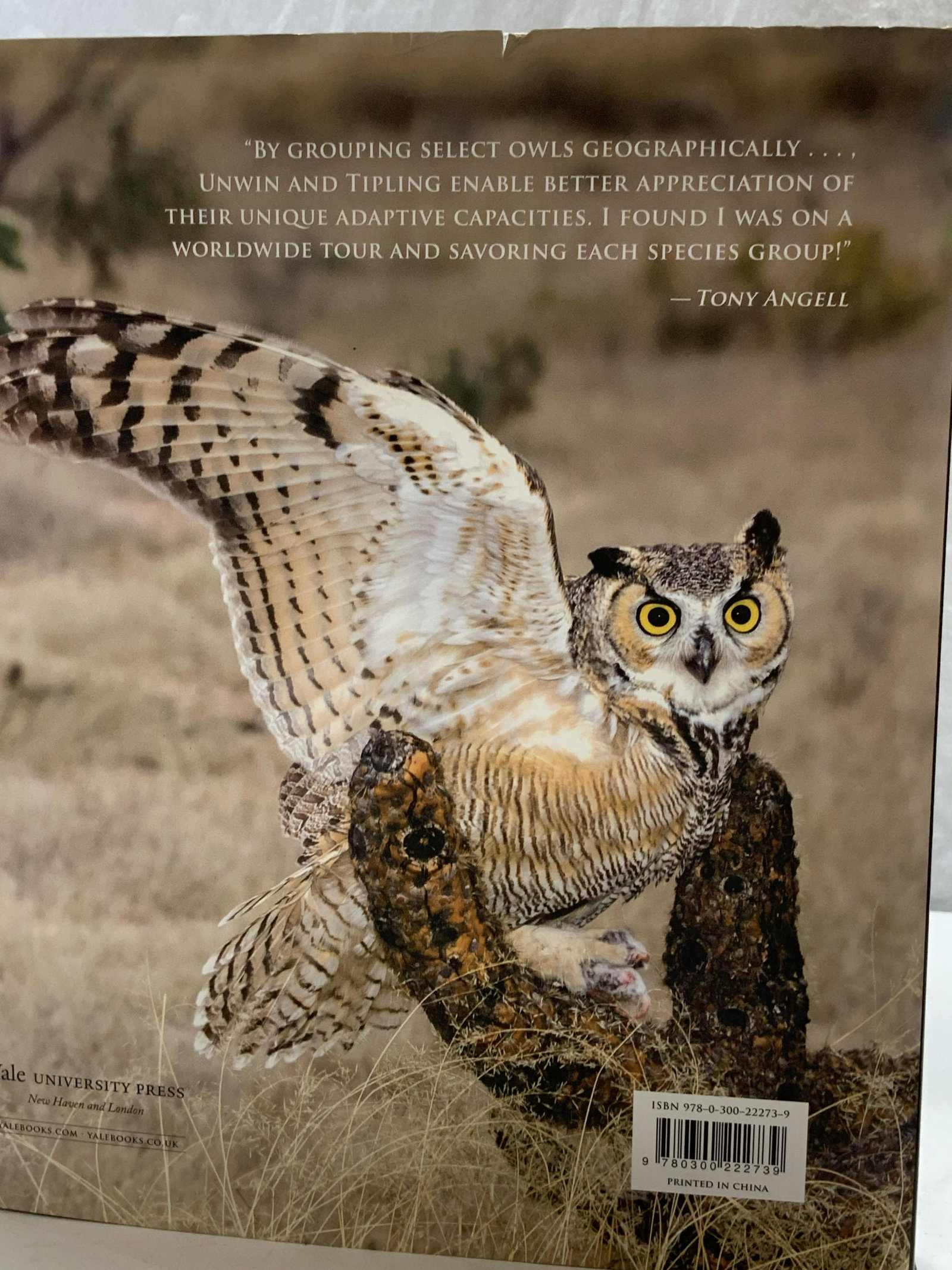 Enigma of the Owl,Coffee Table Book: The Enigma of the Owl, an Illustrated Natural History by Mike Unwin and David Tipling. ( 11.5 x 9.75 in. x 1.25 in.) Yale university press, New Haven, CT c. 2016. Owl book, photography of owls, The En