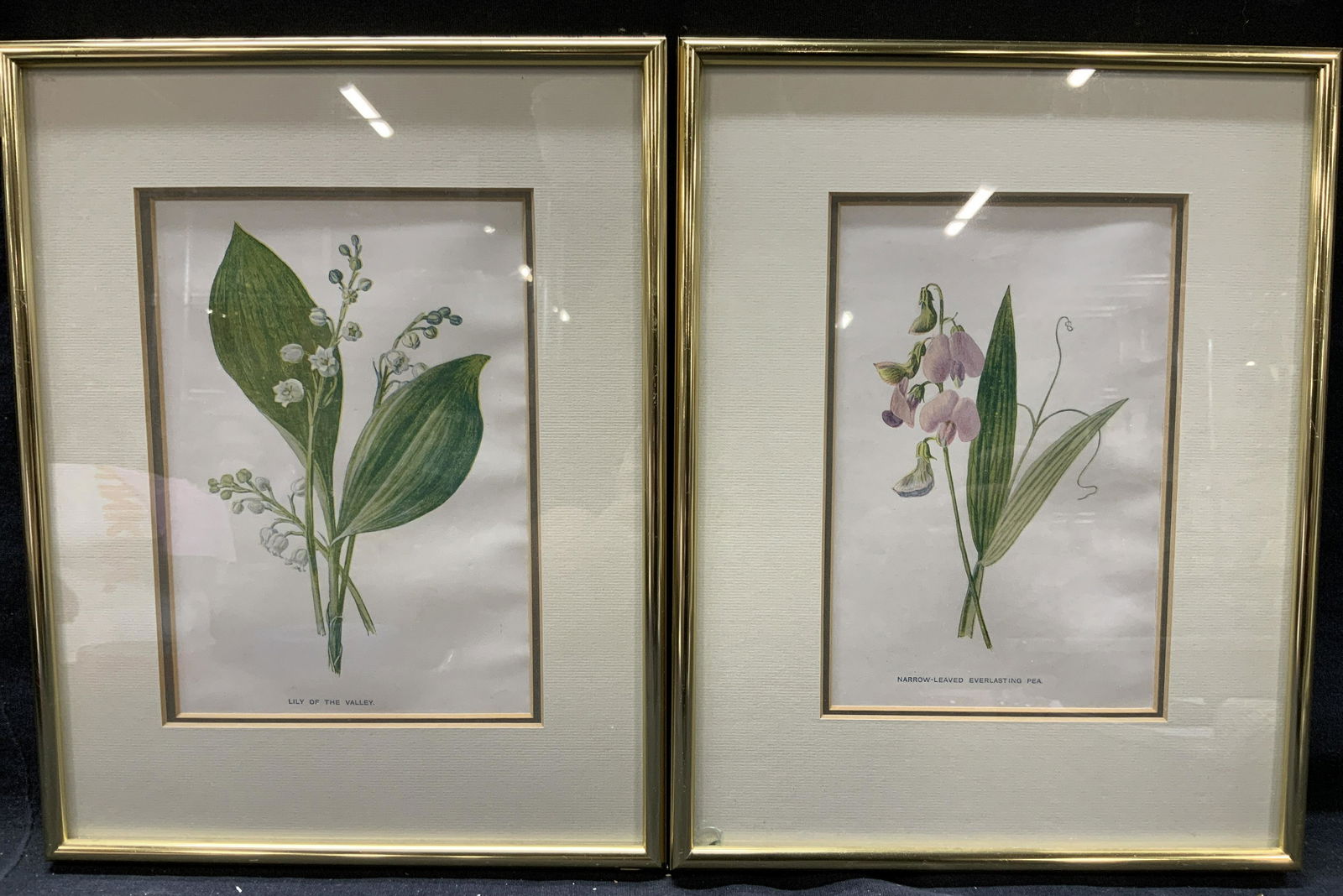2 Edward Hulme Botanical Lithographs (1 of 9)