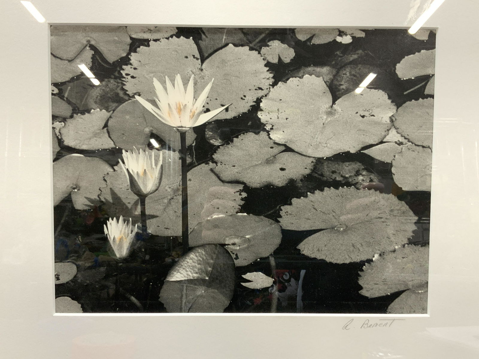 ALON BEMENT Signed Oils On Silver Print (1 of 10)