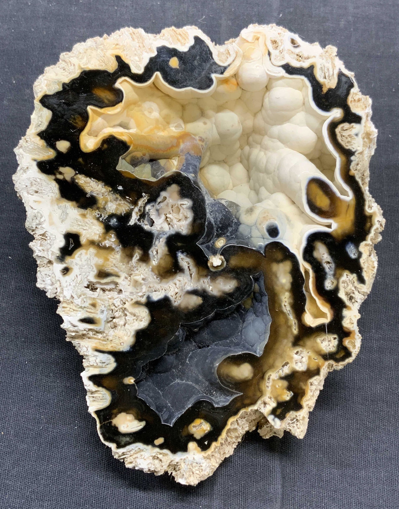 Agatized Coral Geode Specimen (1 of 6)