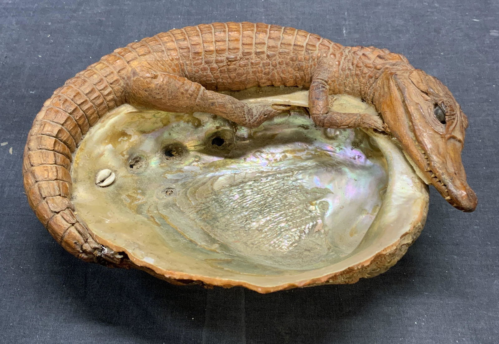 Taxidermy Alligator & Abalone Shell Dish (1 of 9)