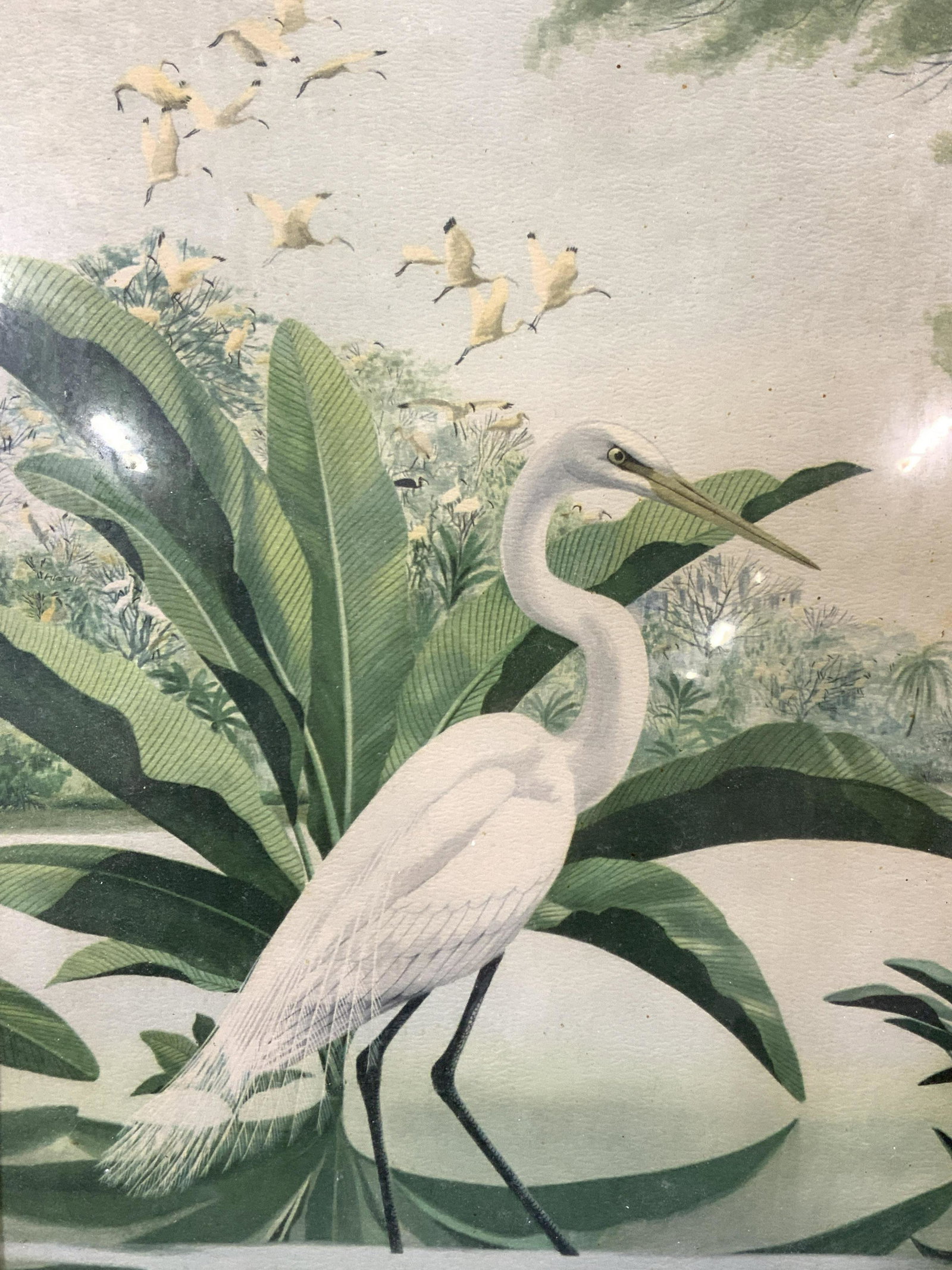Arthur Marked Crane Serigraph: Marked on lower left corner Arthur Depicts a white feathered crane in a watering hole with other cranes flying overhead. Framed in white toned Woden frame made to resemble bamboo Approximately 21 x 13