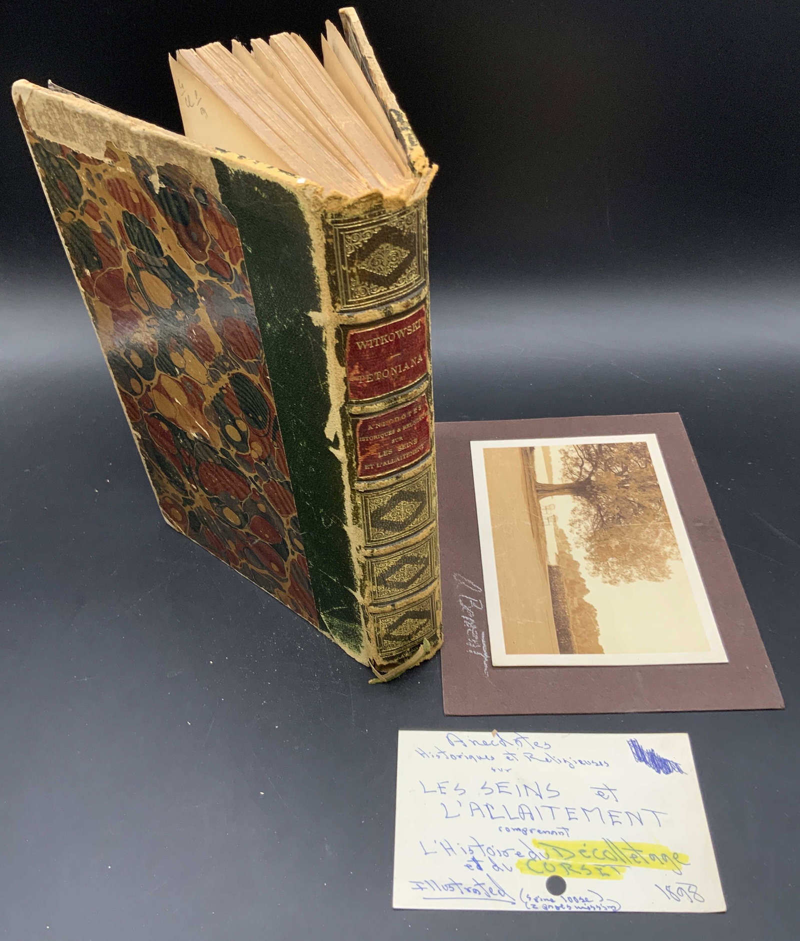 LES SEINS ET LALLAITEMENT, WITKOWSKI Antique Book (1 of 13)