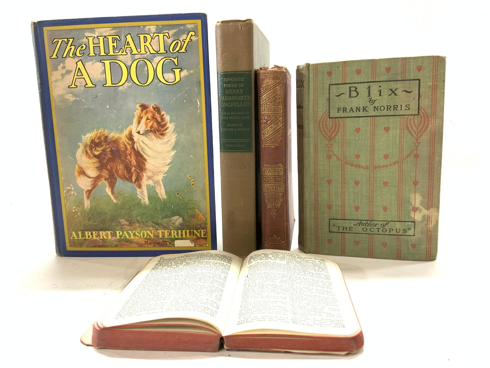 Lot 5 Antique Books, Blix, Heart of a Dog, more (1 of 15)