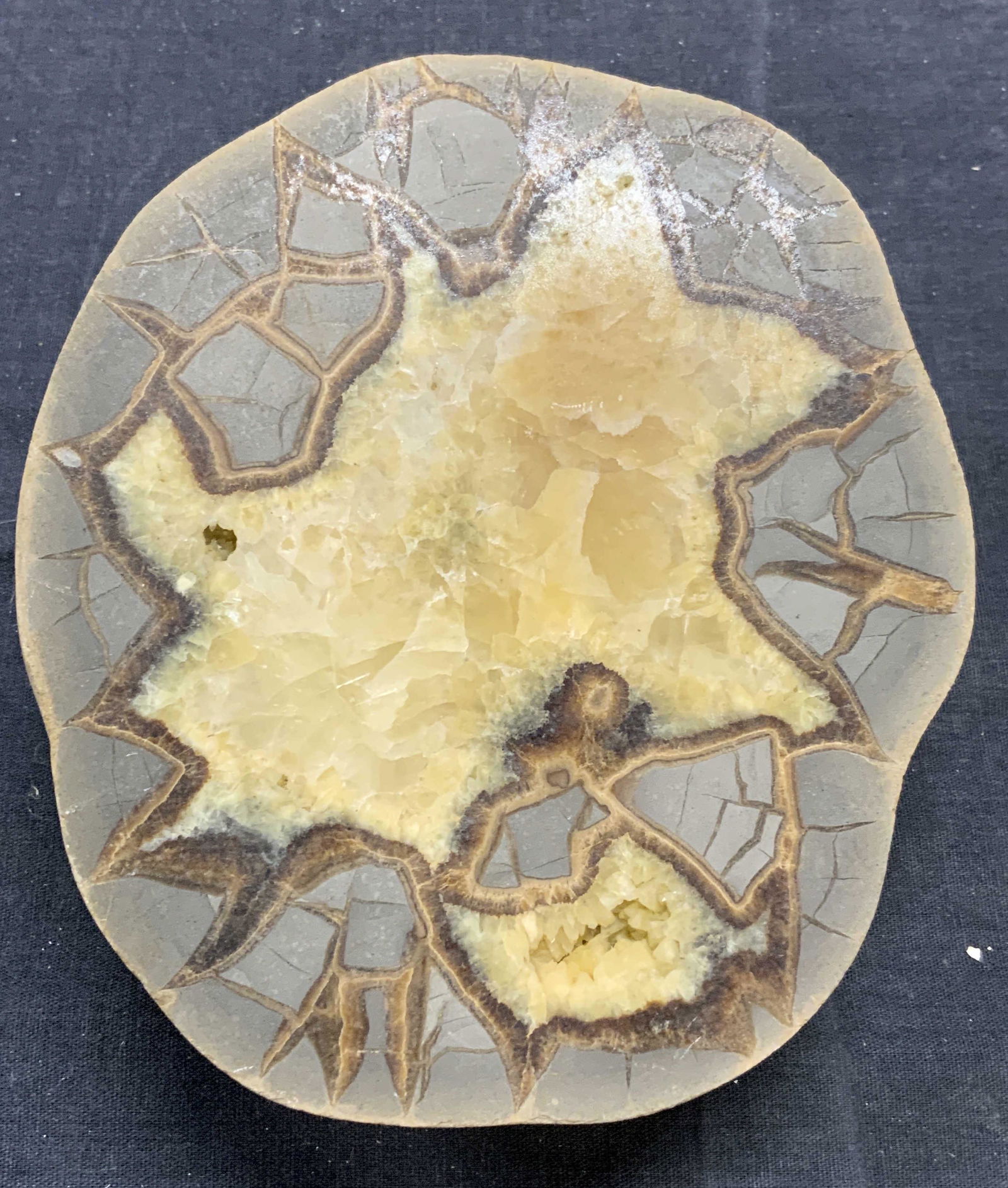 Cut Crystal Geode Specimen (1 of 6)