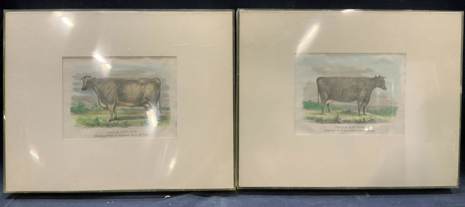 2 Hand Painted Cream Pot Cow Lithographs (1 of 9)