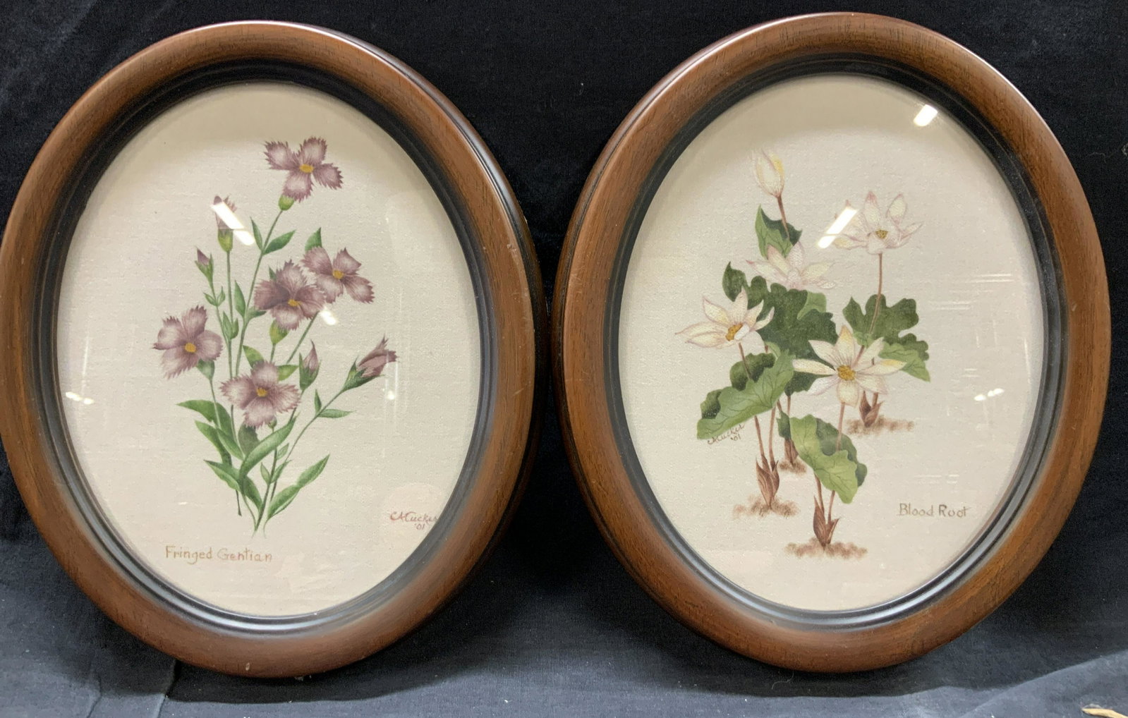 2 Carol A Rucker SNGD Botanical Theorem Paintings: 2 theorem paintings, both signed Carol A Tucker or CA Tucker, 01, marked on backsides as well. 1 reads Fringed gentian and depicts the purple flowers with green leaves. The other reads Blood Root, and