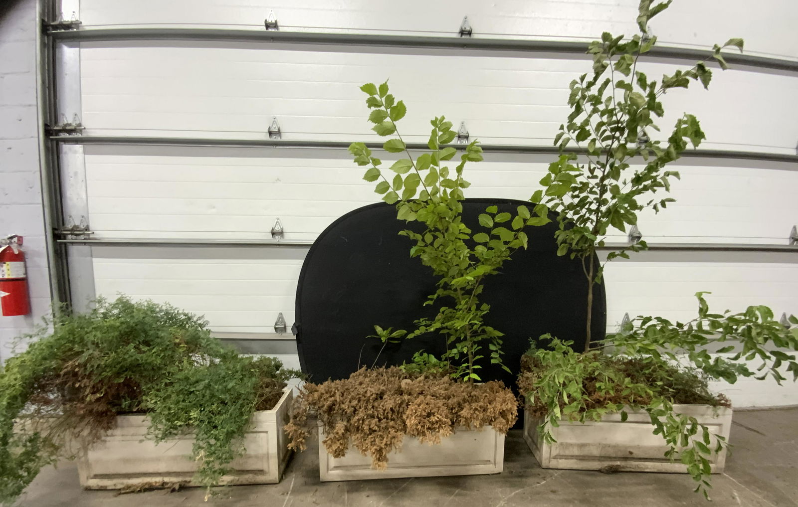 Set 3 Rectangular Outdoor Planters (1 of 10)