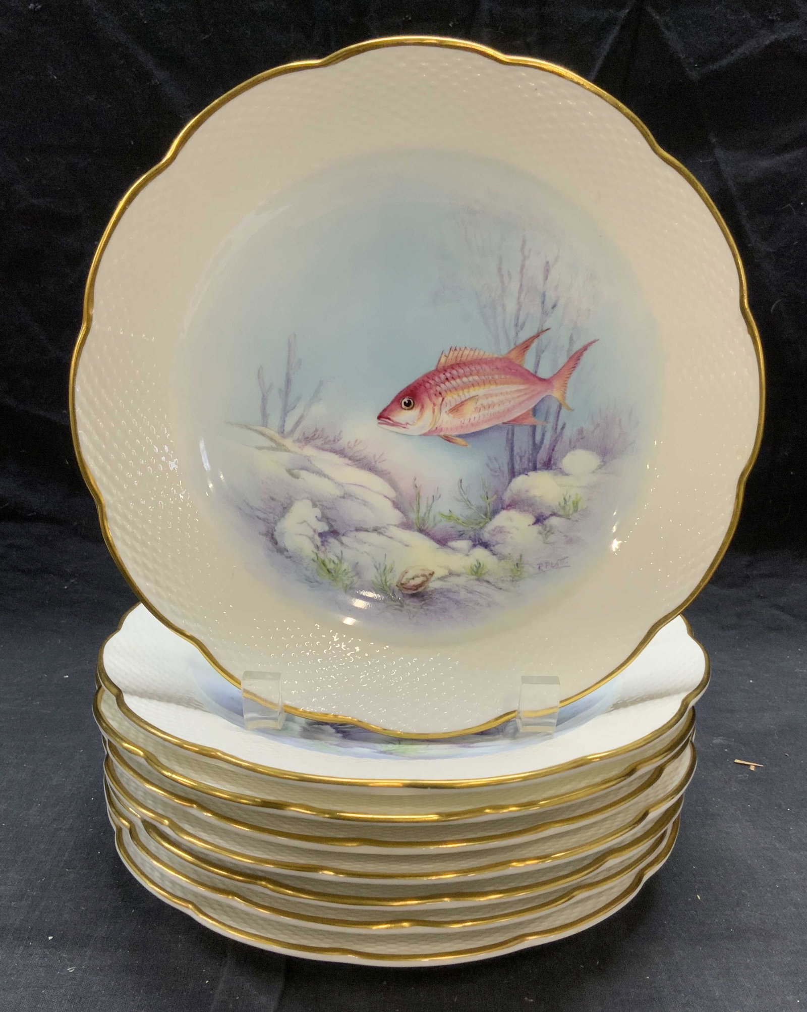 Set 8 ROYAL WORCESTER China Tropical Fish Plates: Set of 8 Royal Worcester china ware plates with tropical fish motif designed by Ronald Van Ruyckevelt. Each plates features different fish design. All pieces in good condition, some surface wear consi