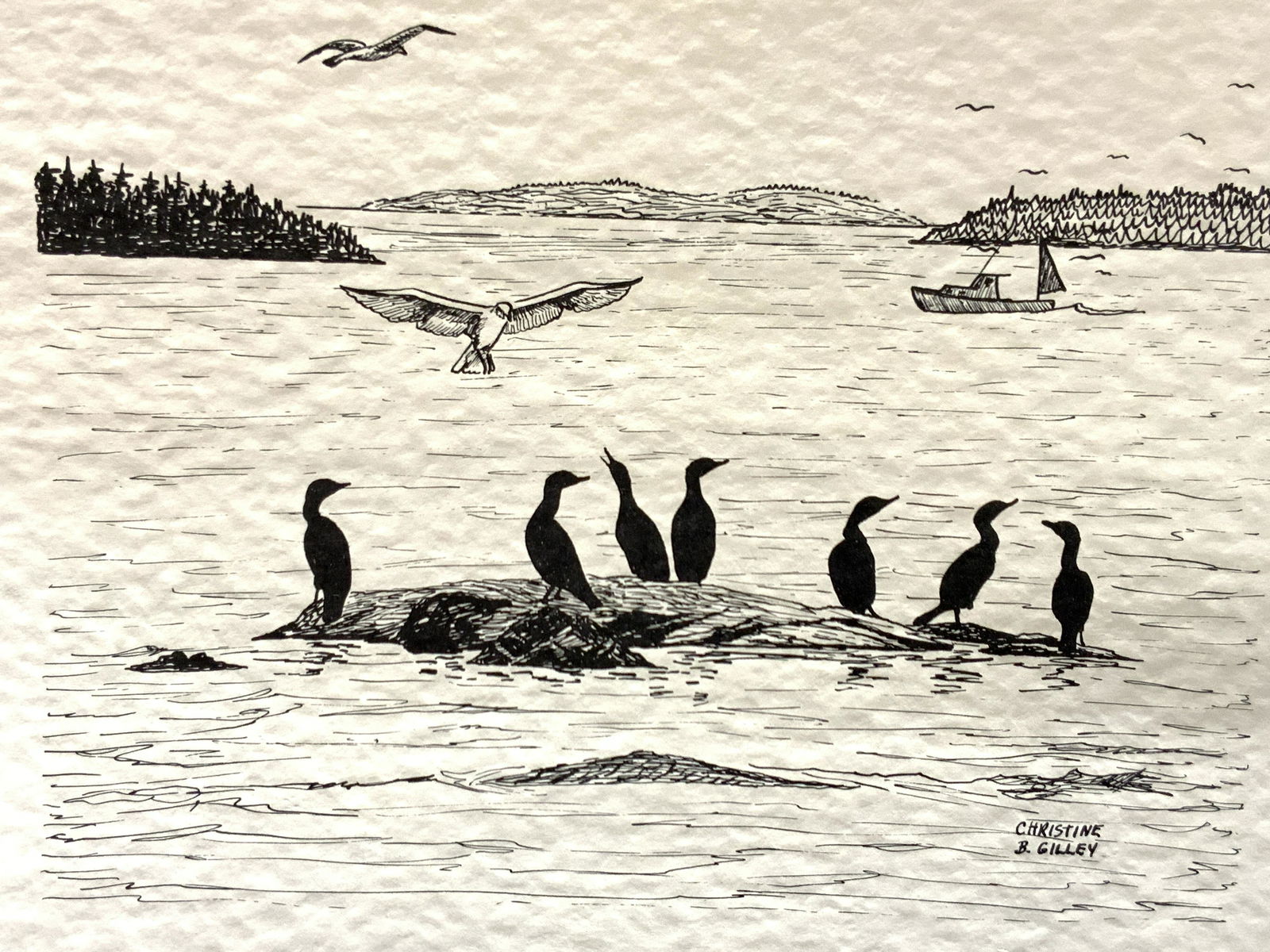Christine B Gilley Cormorants On Ledge Serigraph (1 of 9)